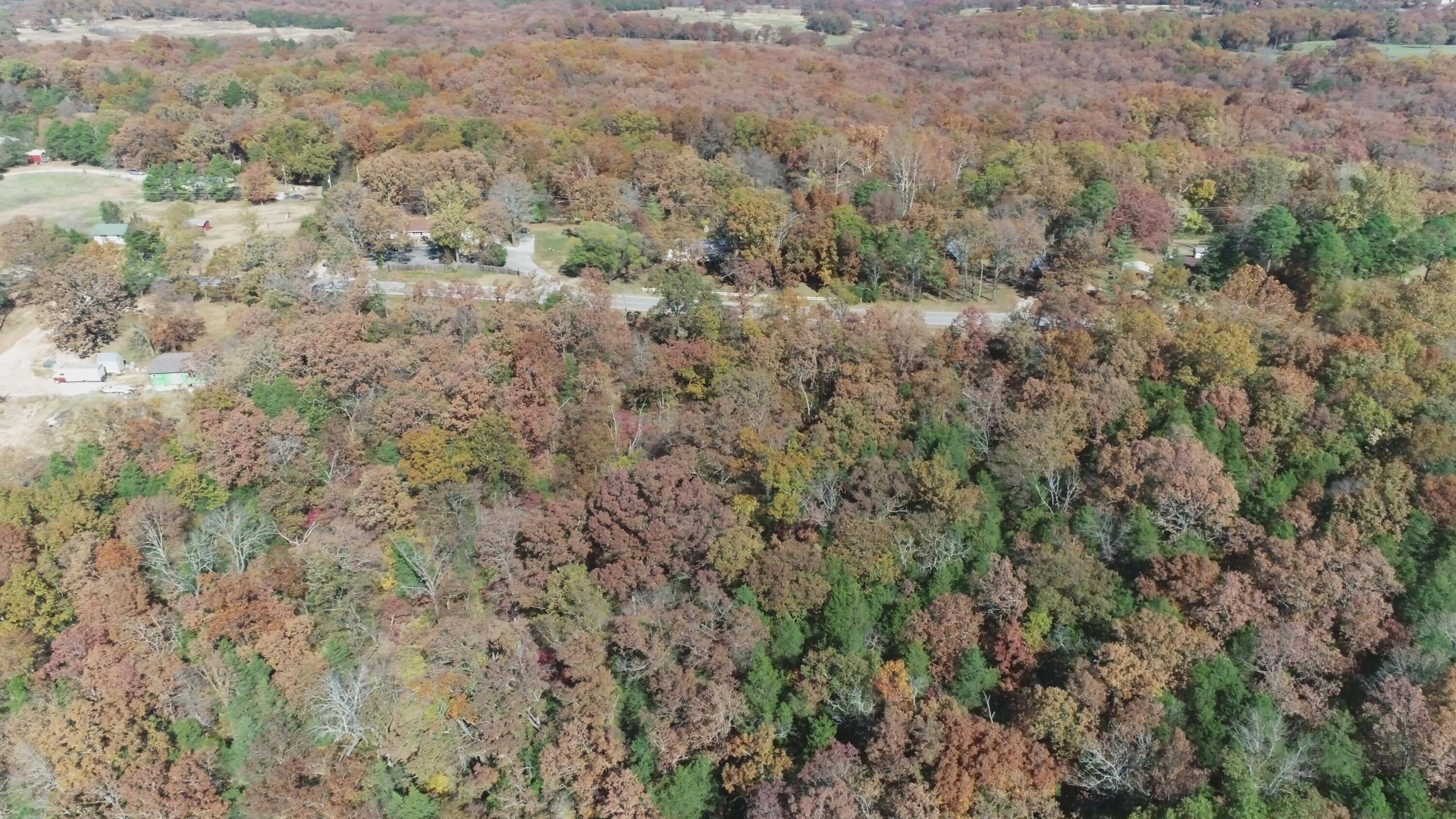 000 Highway 76, Kirbyville, MO 65679