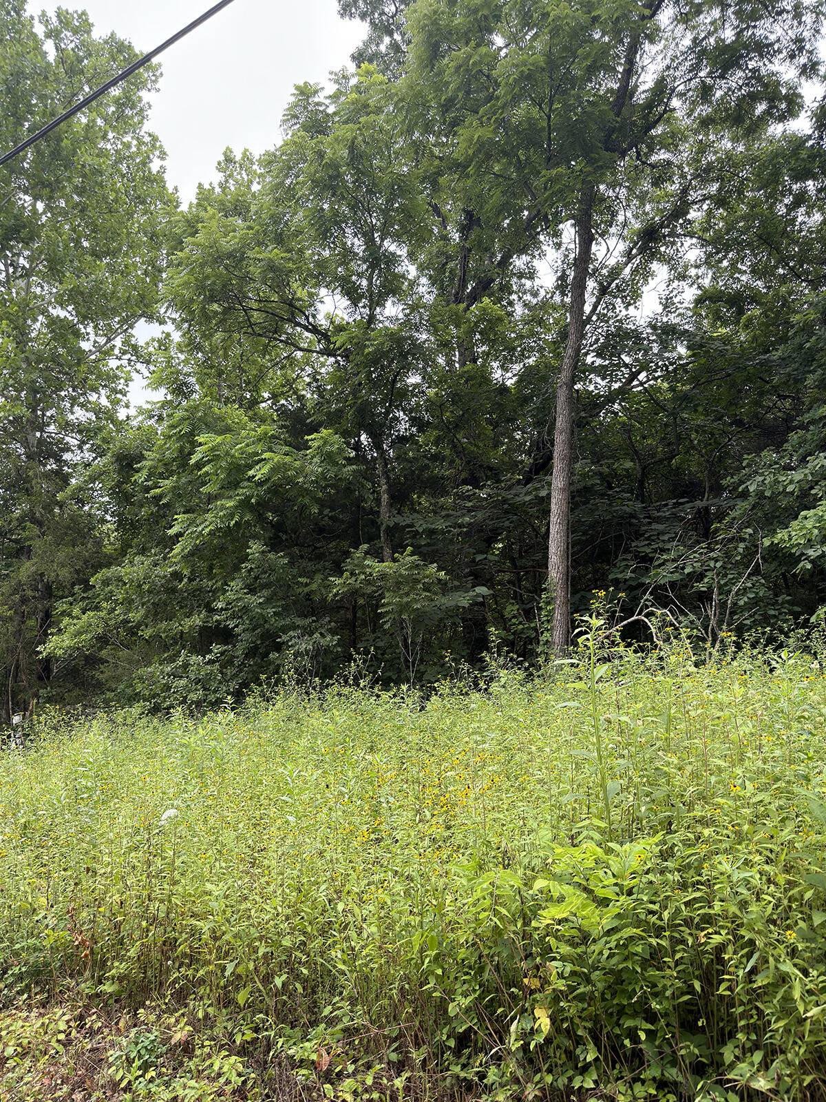 Lot 219 Big Creek RD, Shell Knob, MO 65747