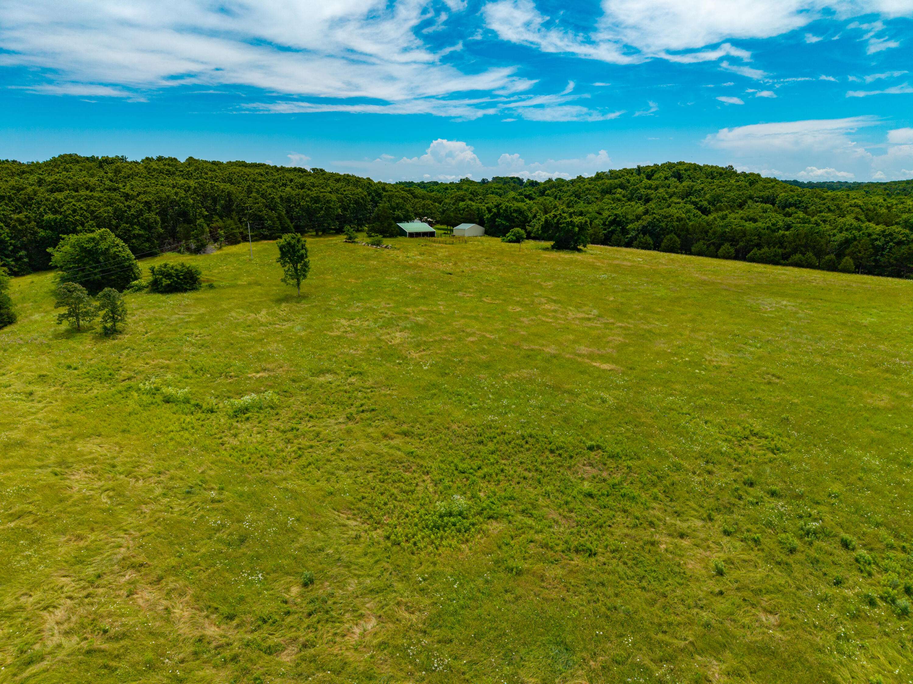 3675 Persimmon RD, Grovespring, MO 65662