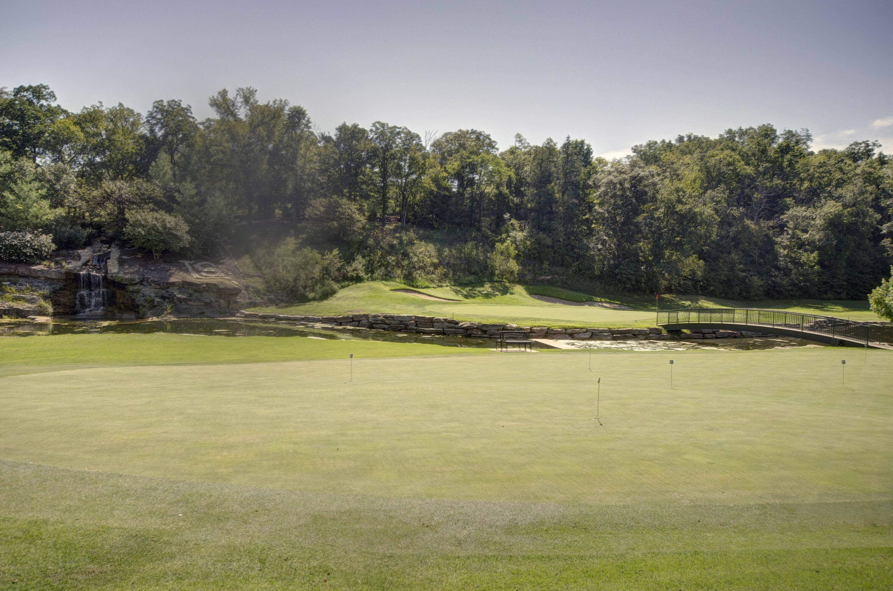 1316 Stoney Creek LN, Branson West, MO 65737