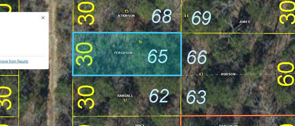 Lot 65 Gumbo Woods, Shell Knob, MO 65747