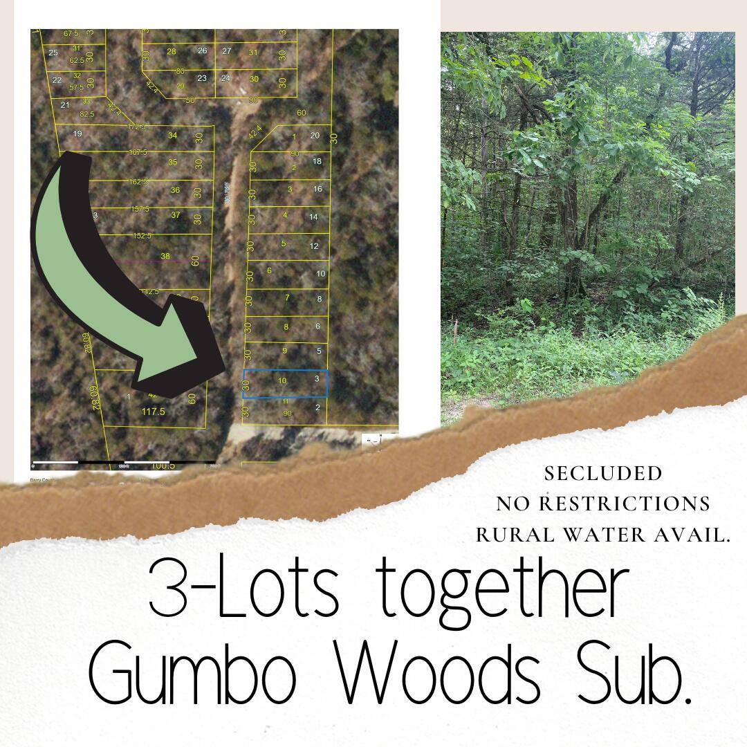 Lots 3,5,6 Gumbo Woods, Shell Knob, MO 65747