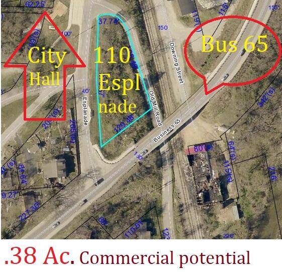 110 Esplanade DR, Hollister, MO 65672