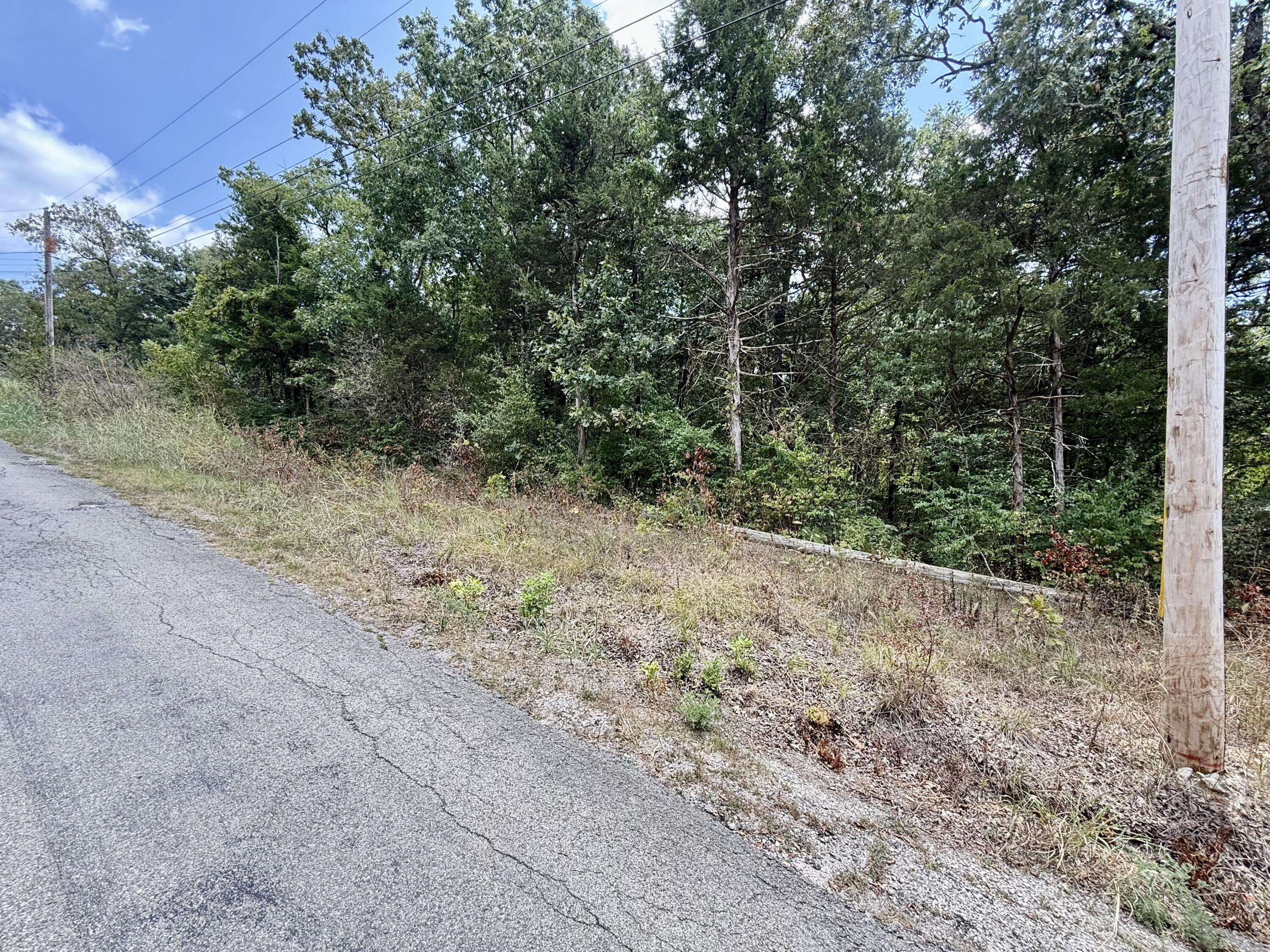 Lot 5 Driftwood RD, Merriam Woods, MO 65740