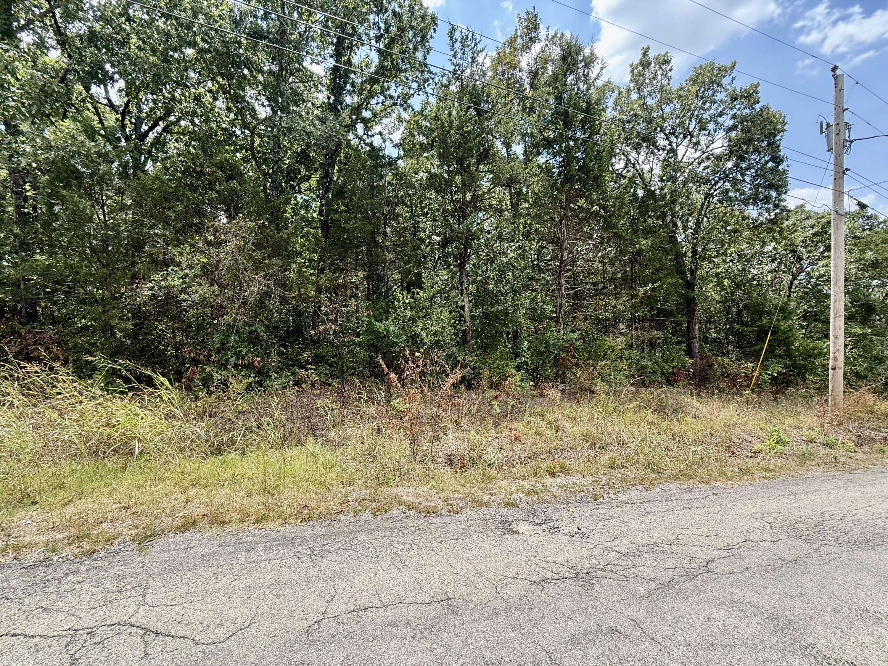 Lot 5 Driftwood RD, Merriam Woods, MO 65740