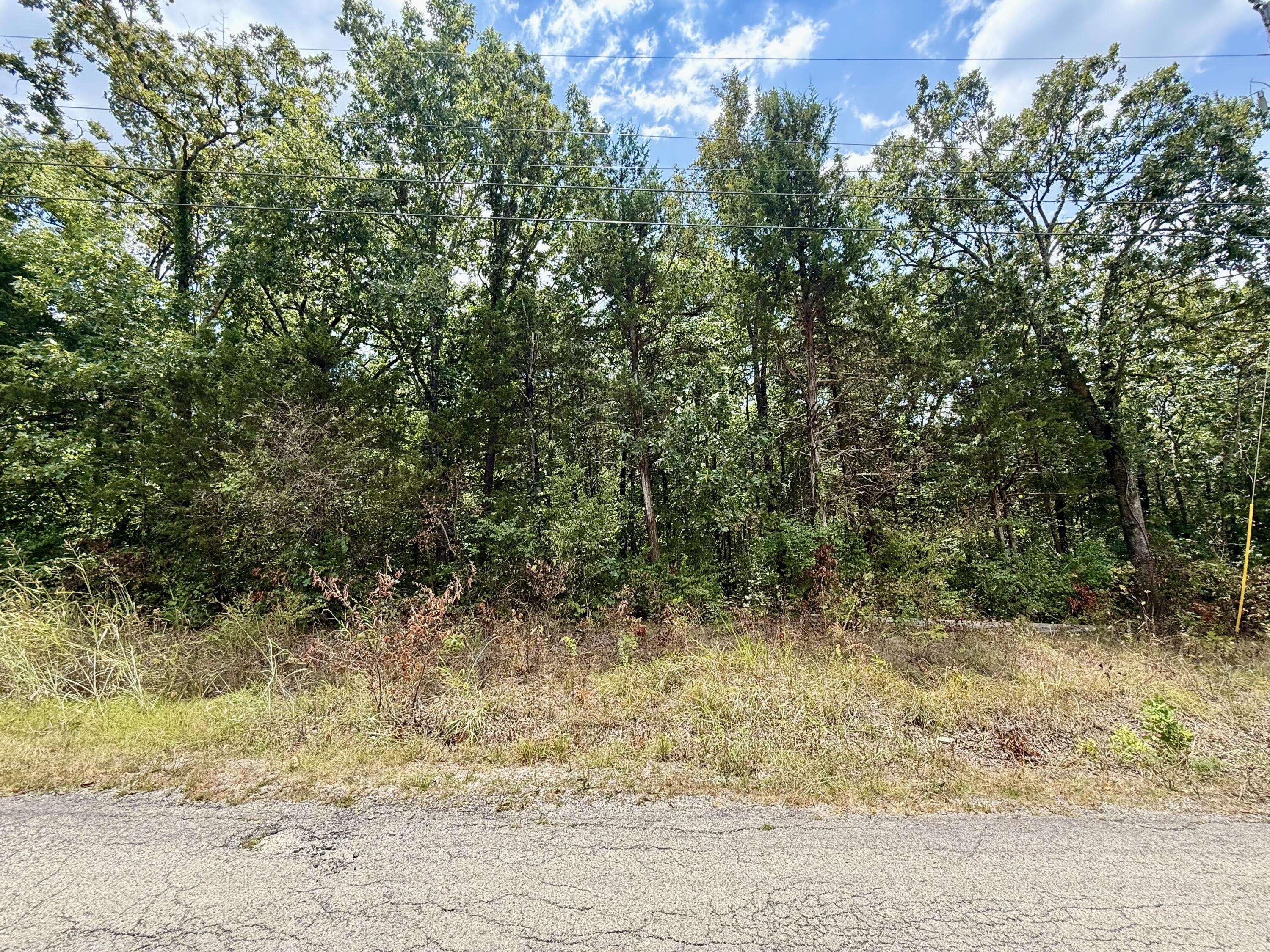 Lot 5 Driftwood RD, Merriam Woods, MO 65740