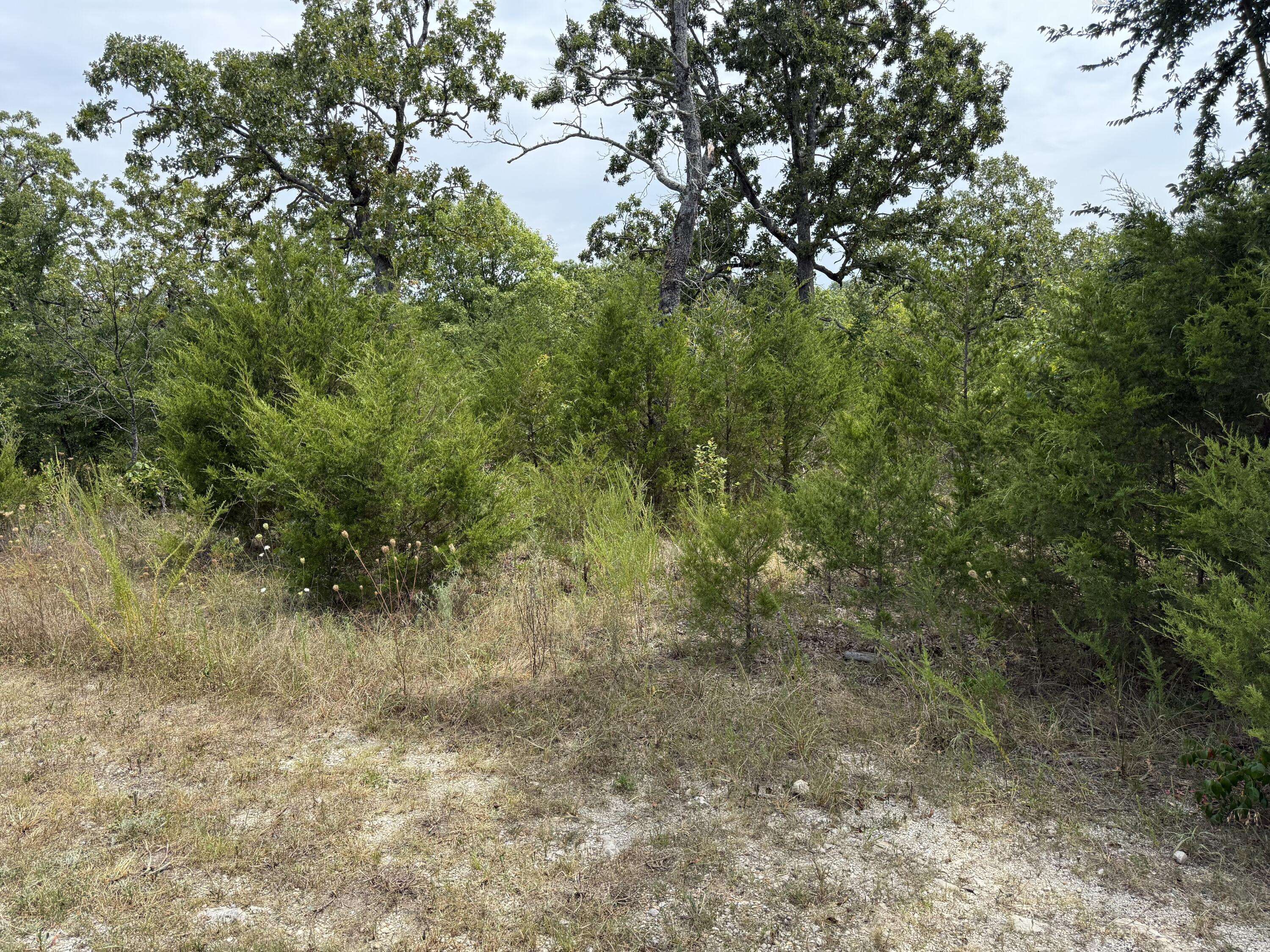 295 Beechwood DR, Branson West, MO 65737