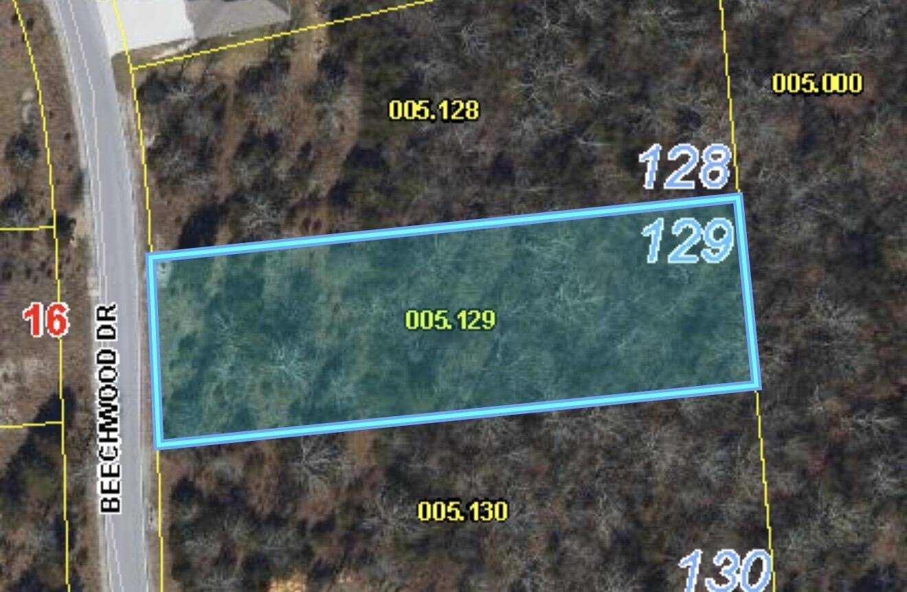 295 Beechwood DR, Branson West, MO 65737