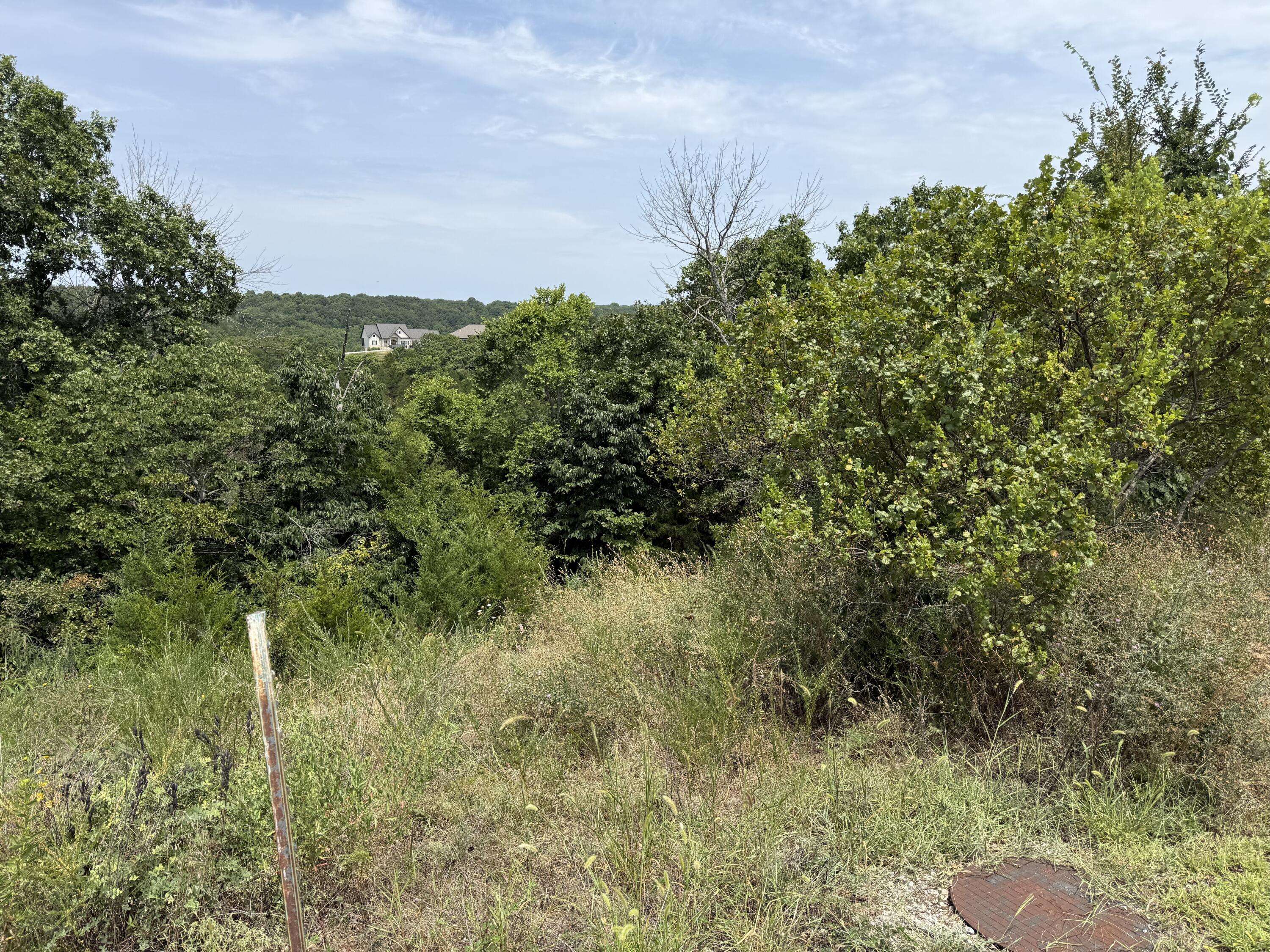 121 Gemstone DR, Branson West, MO 65737