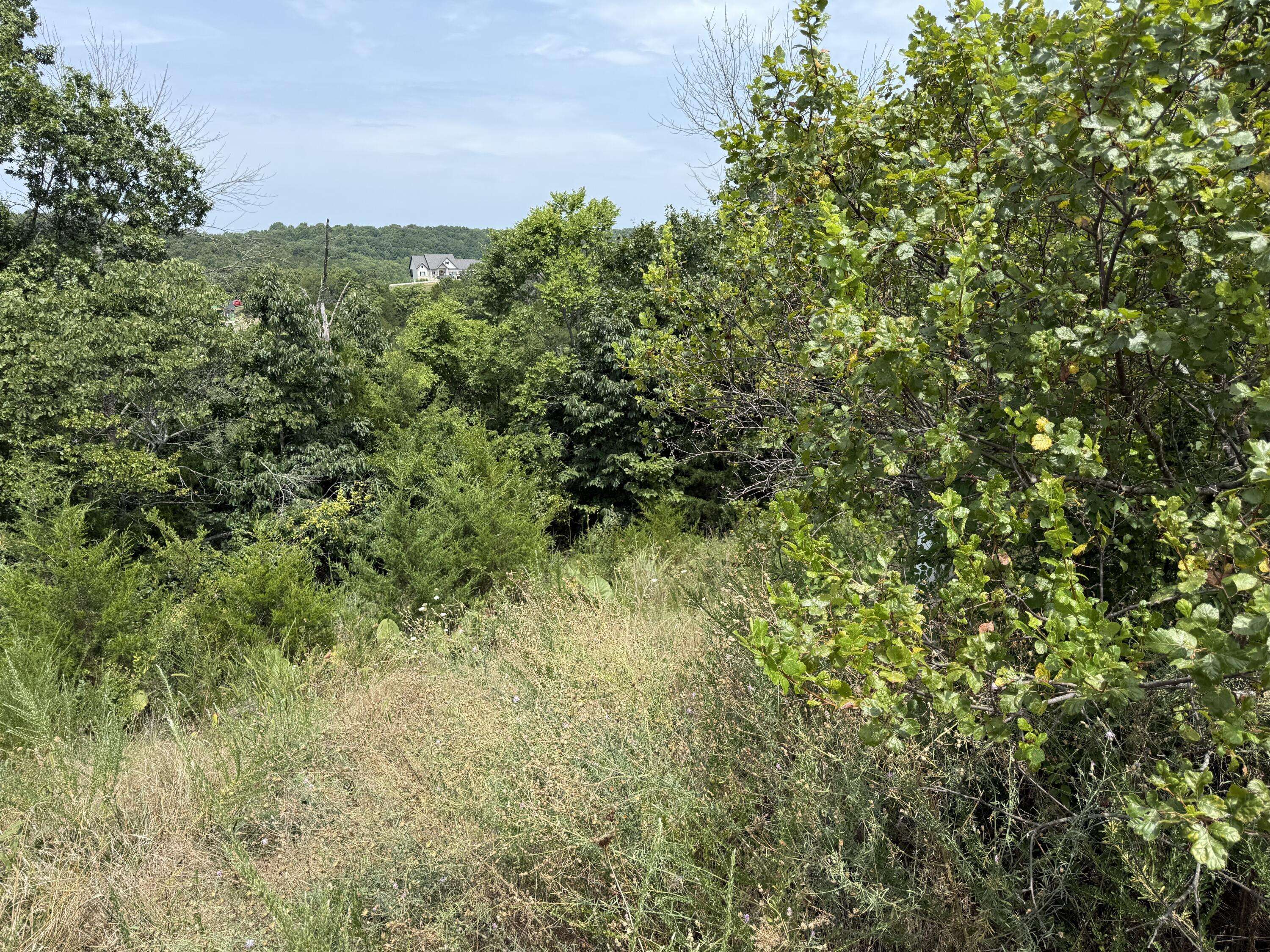 121 Gemstone DR, Branson West, MO 65737