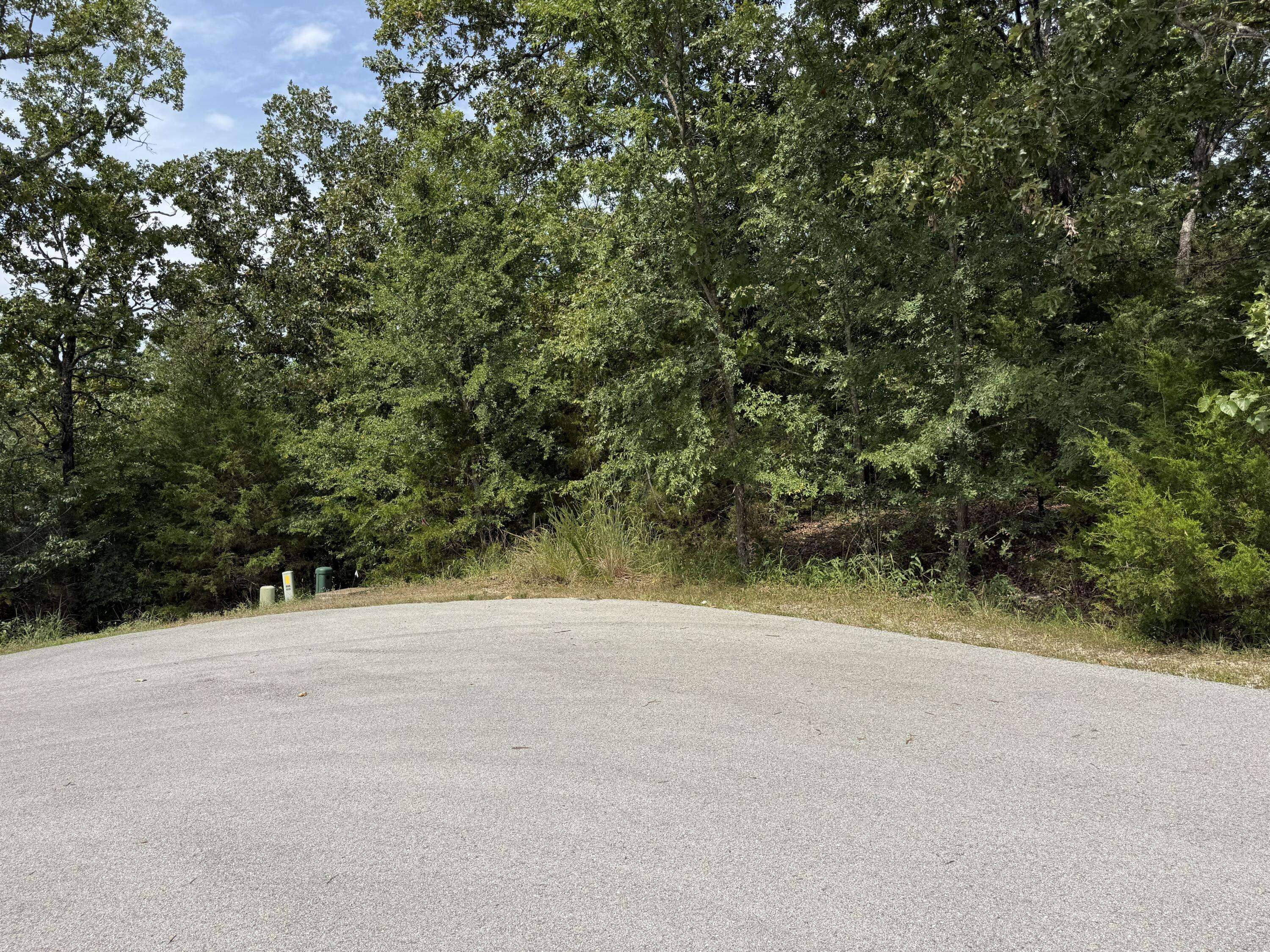 55 Cattail CT, Branson West, MO 65737