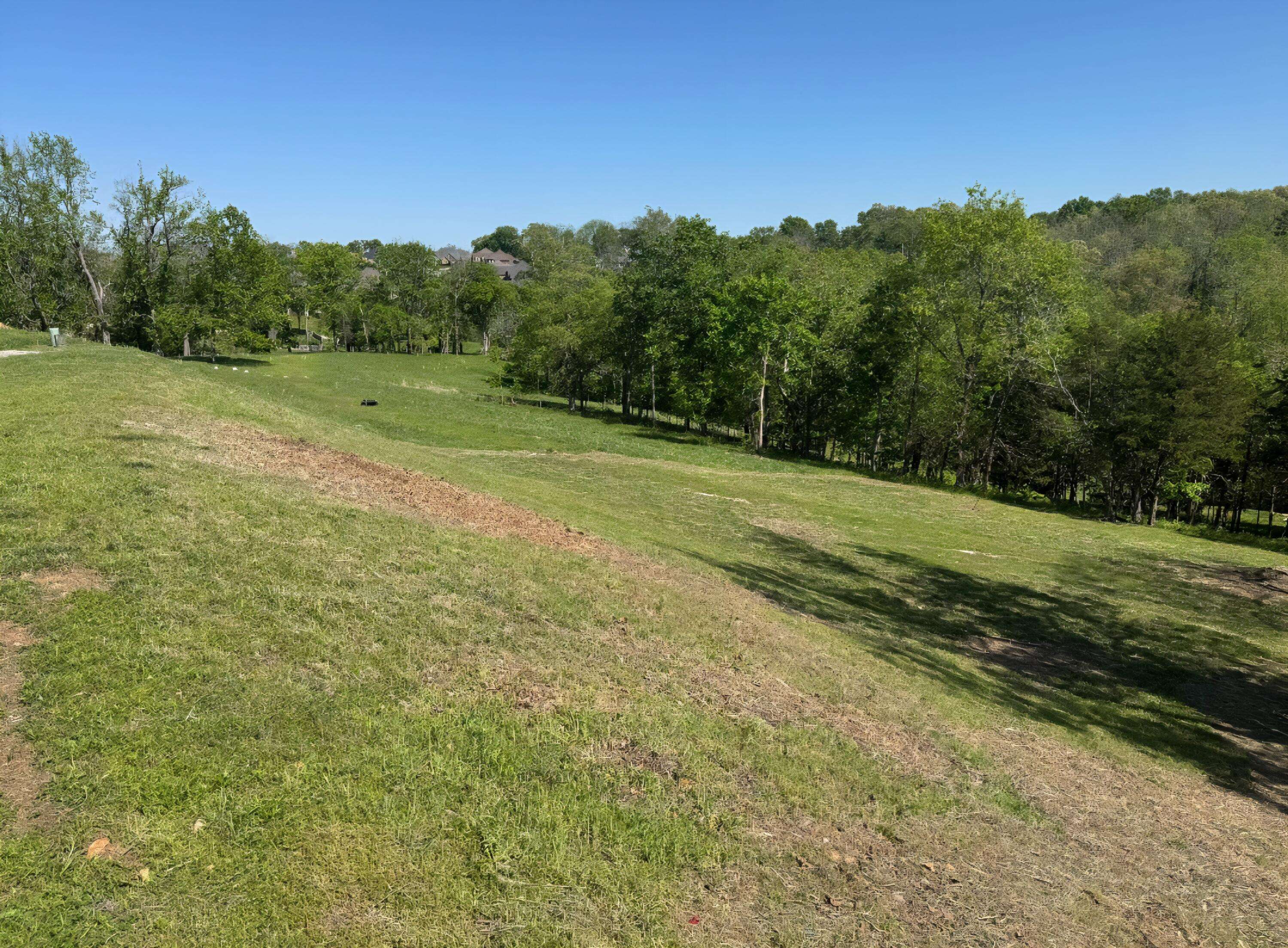 6204 S Maryland AVE, Springfield, MO 65810