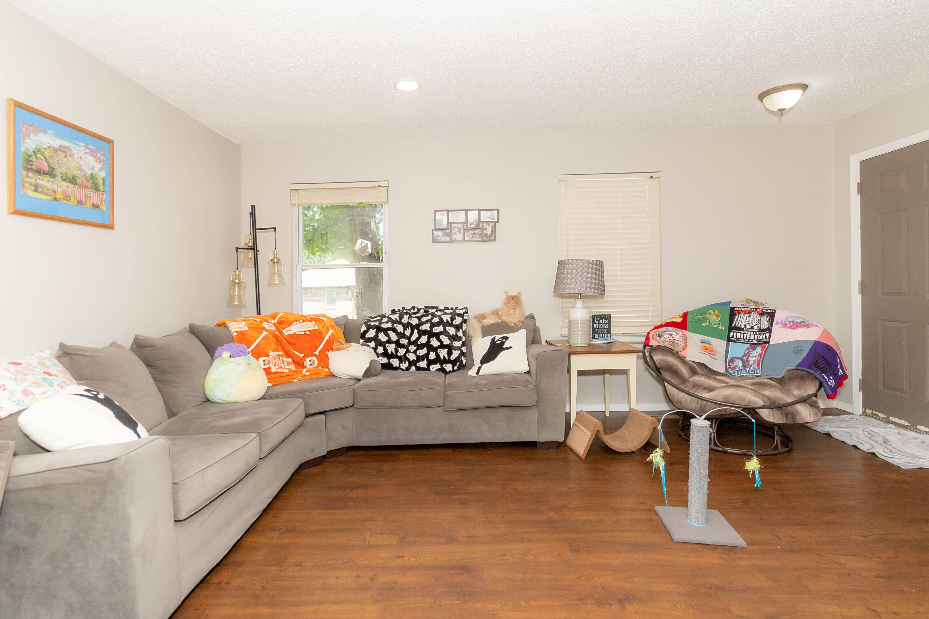 900 E Kirkwood DR, Aurora, MO 65605