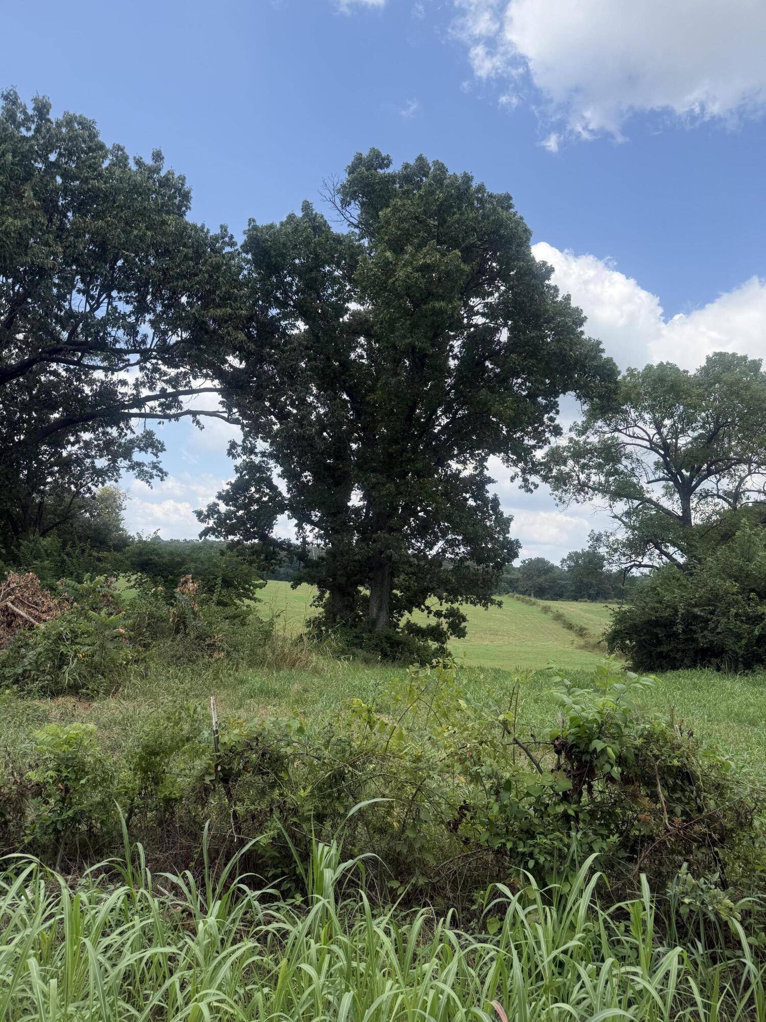 000 Sorrell RD #000, Stella, MO 64867