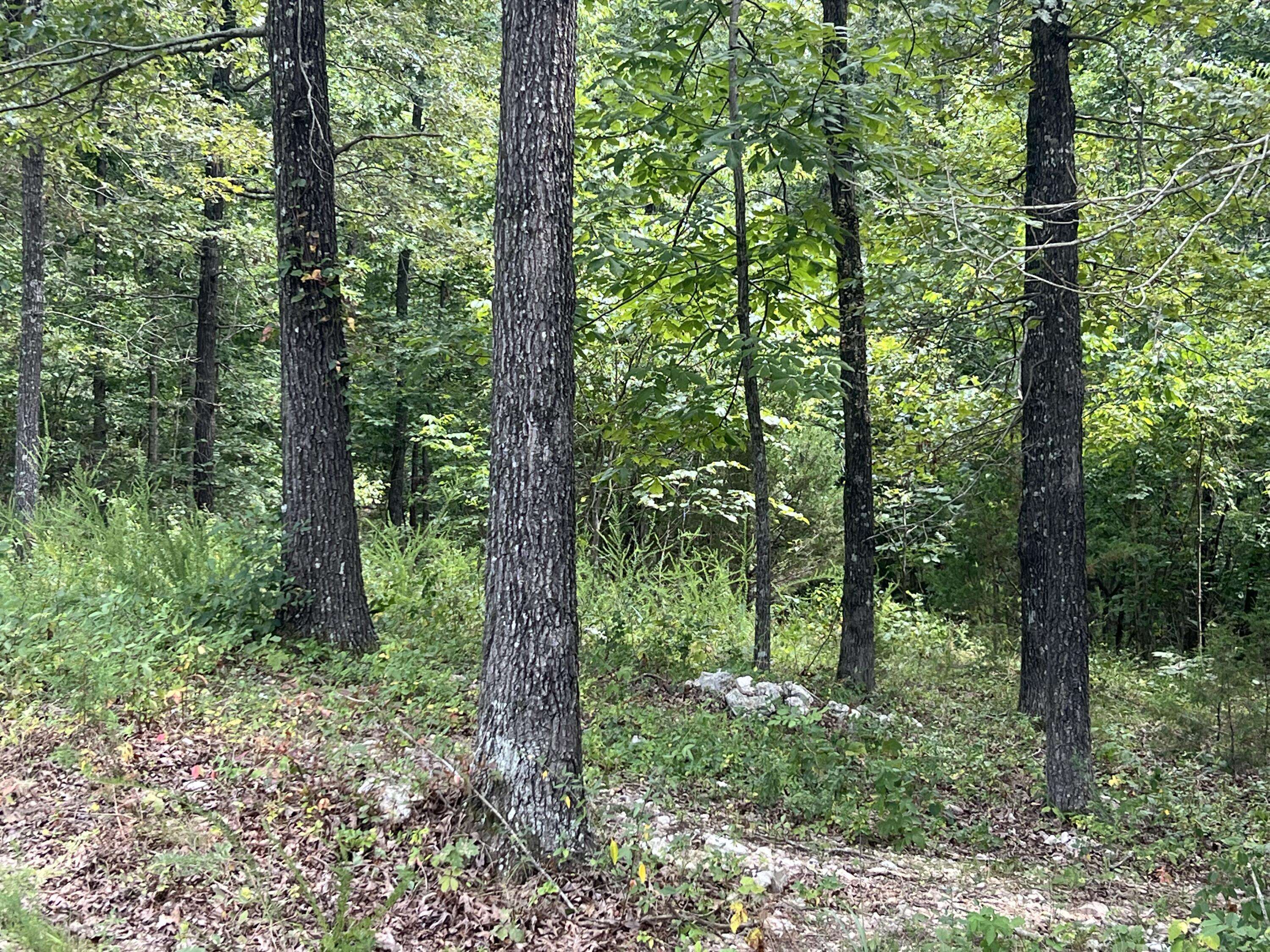 528 Black Oak RD, Mammoth Spring, AR 72554