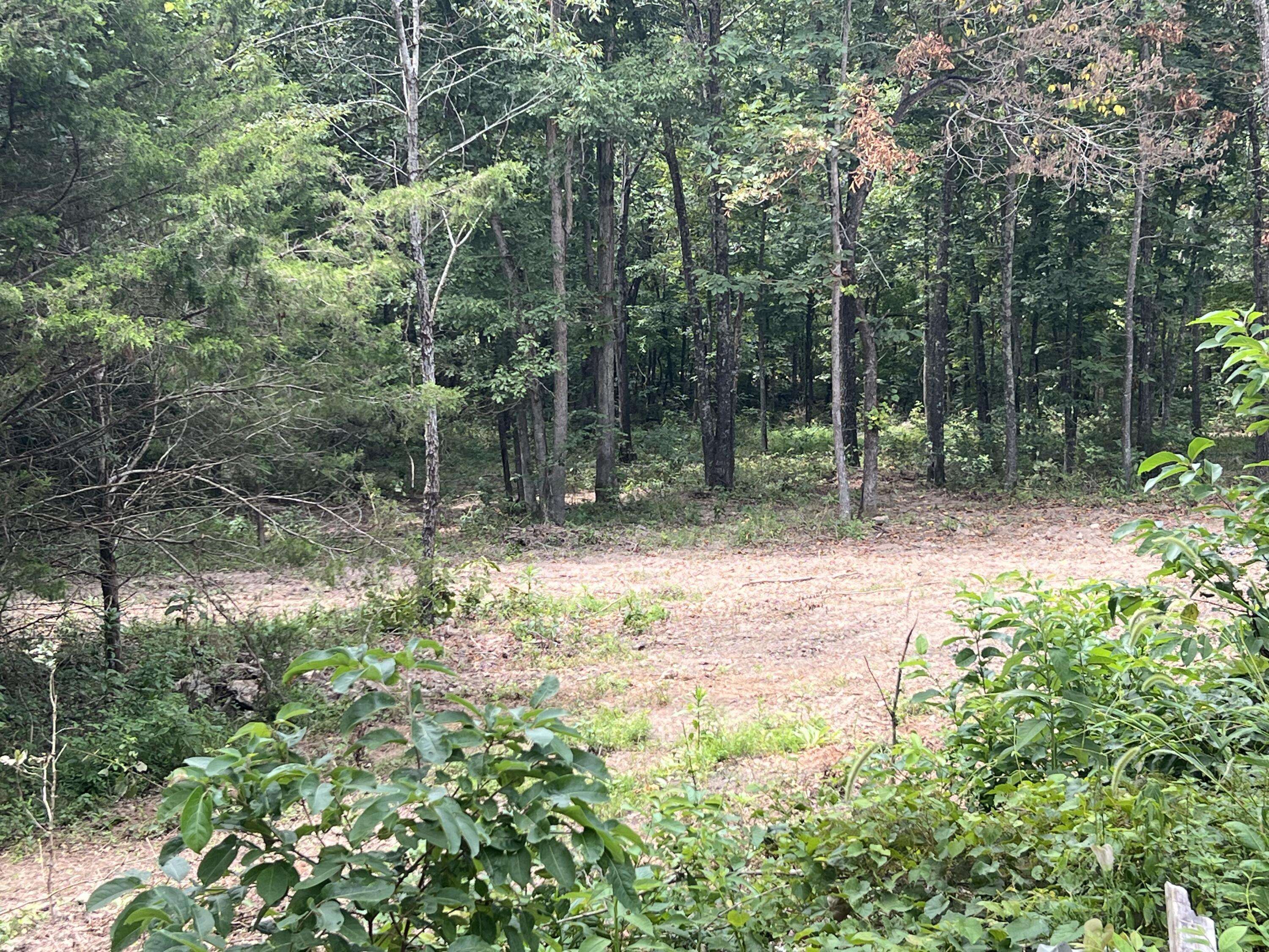 528 Black Oak RD, Mammoth Spring, AR 72554