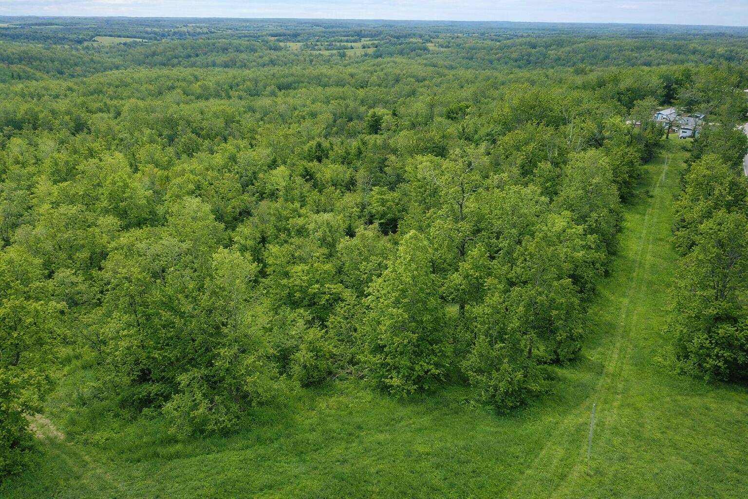 000 A Highway, Thayer, MO 65791
