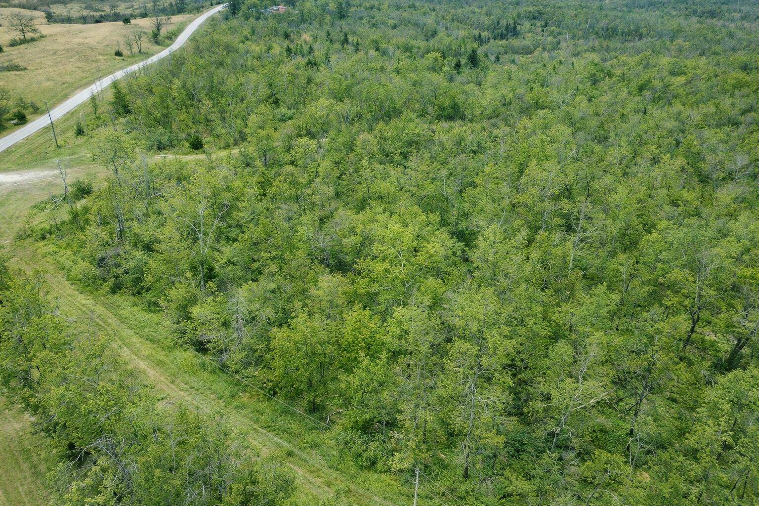 000 A Highway, Thayer, MO 65791