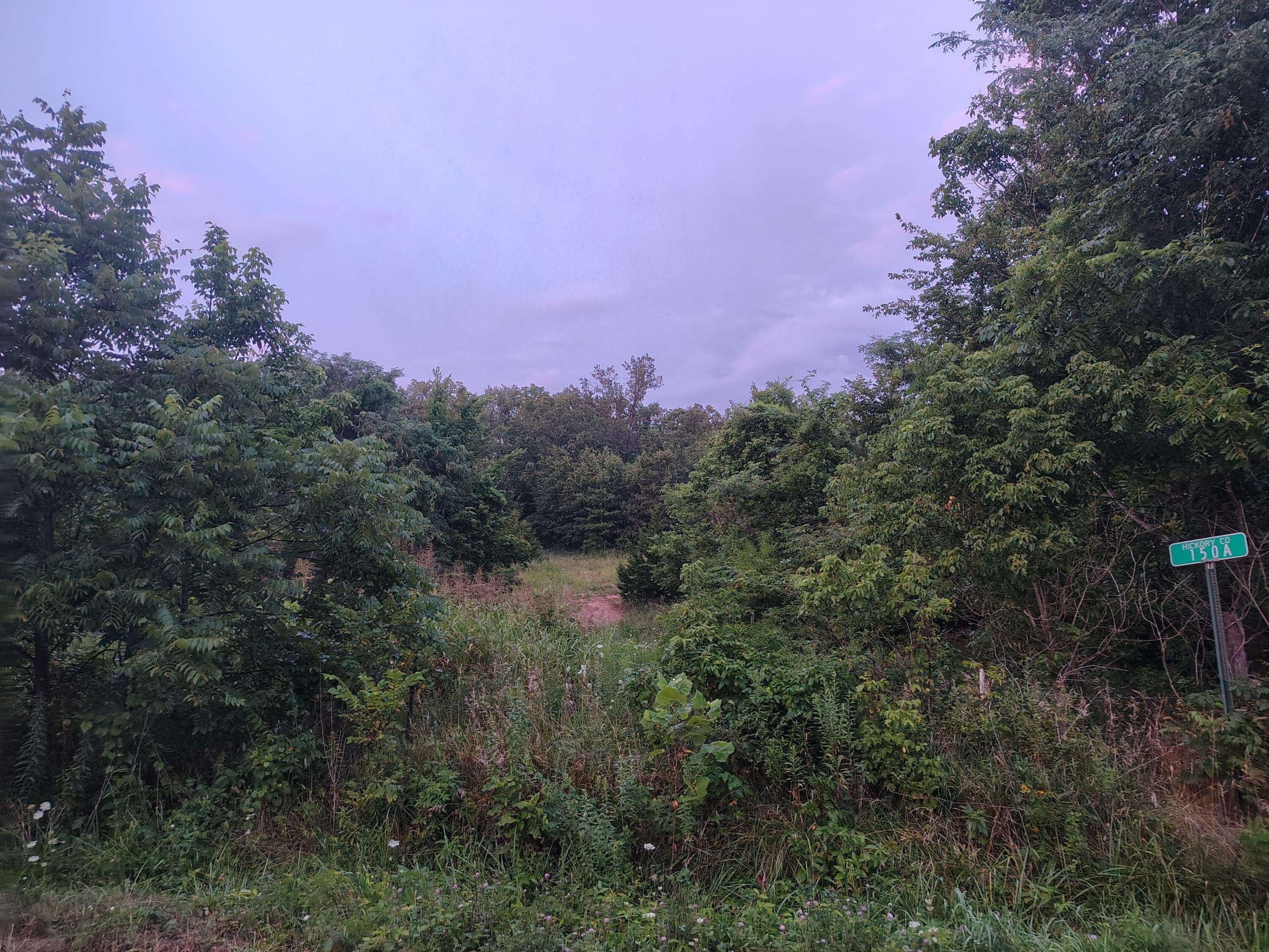 000 County Road 150, Preston, MO 65732