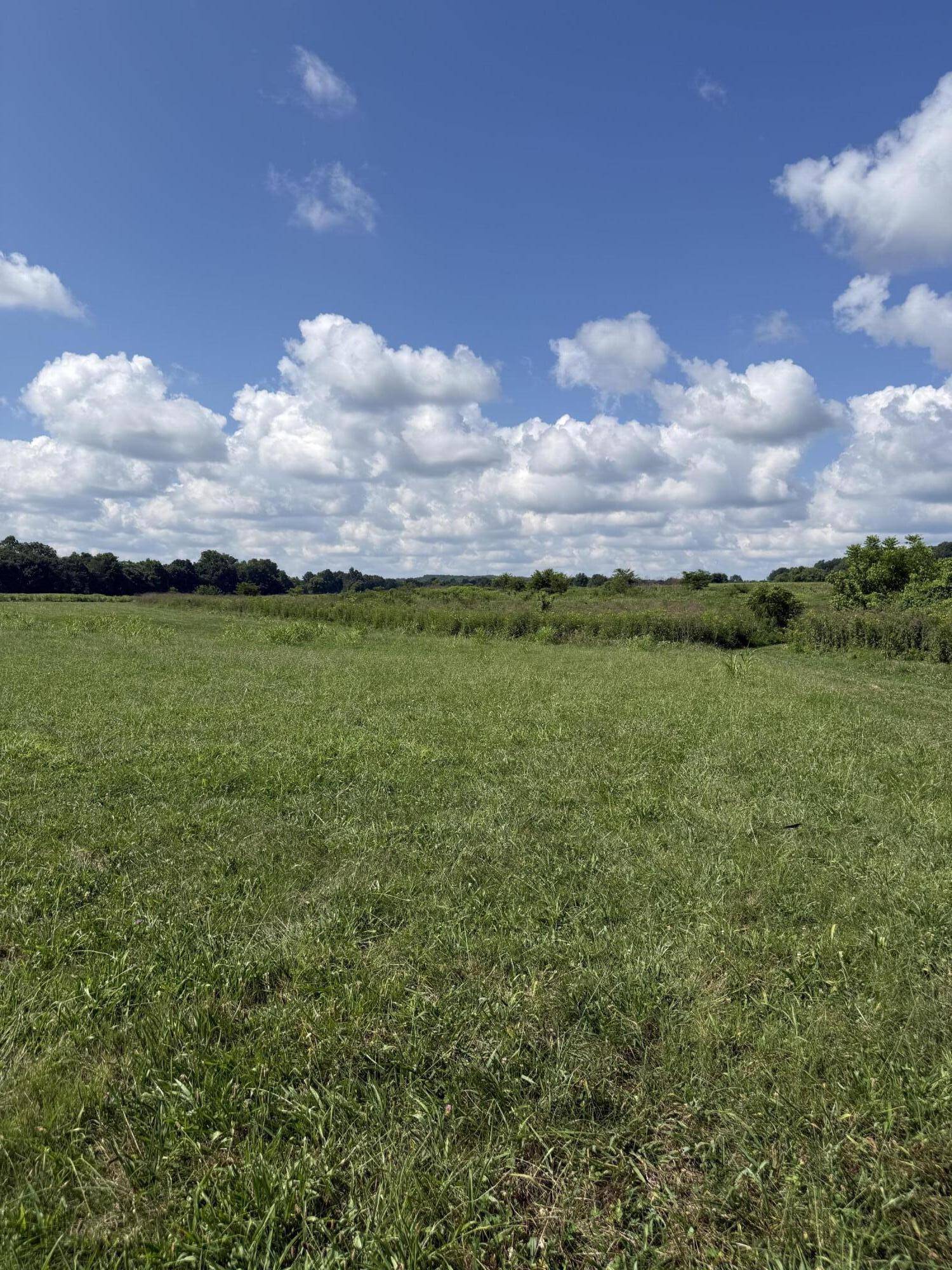 000 Highway 63, Houston, MO 65483