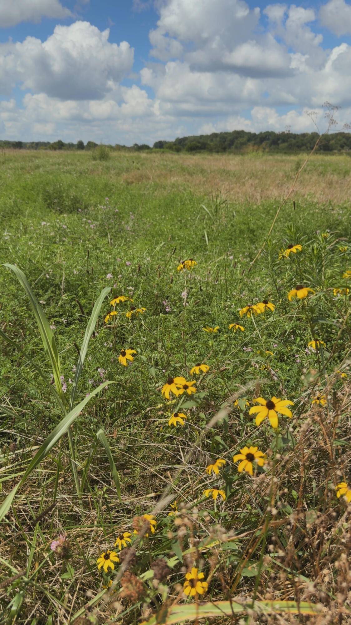 000 Highway 63, Houston, MO 65483