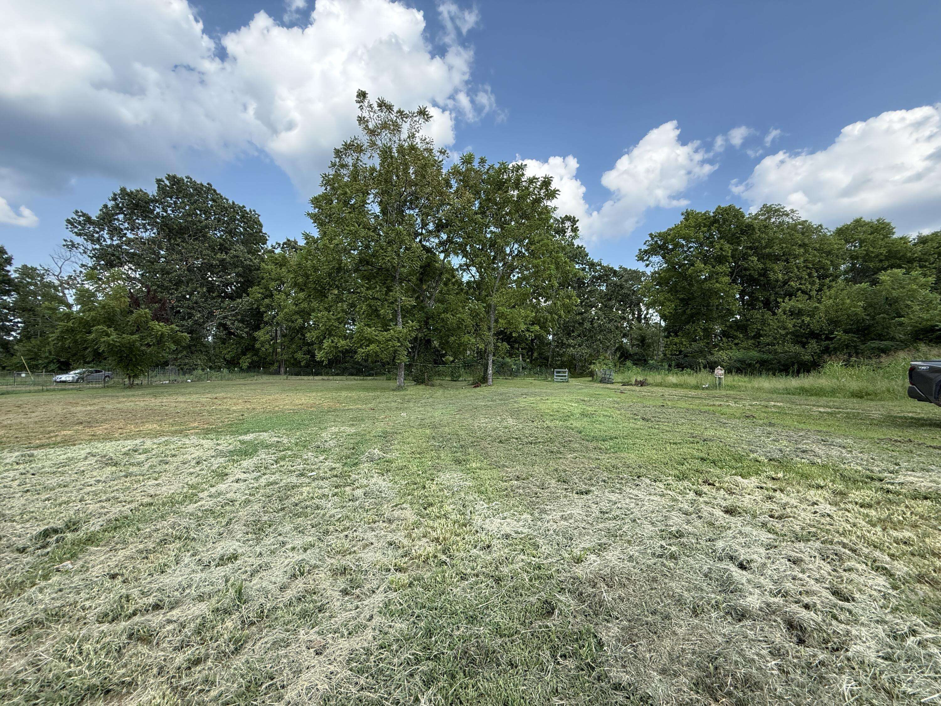 925 County Road 6140, Dora, MO 65637