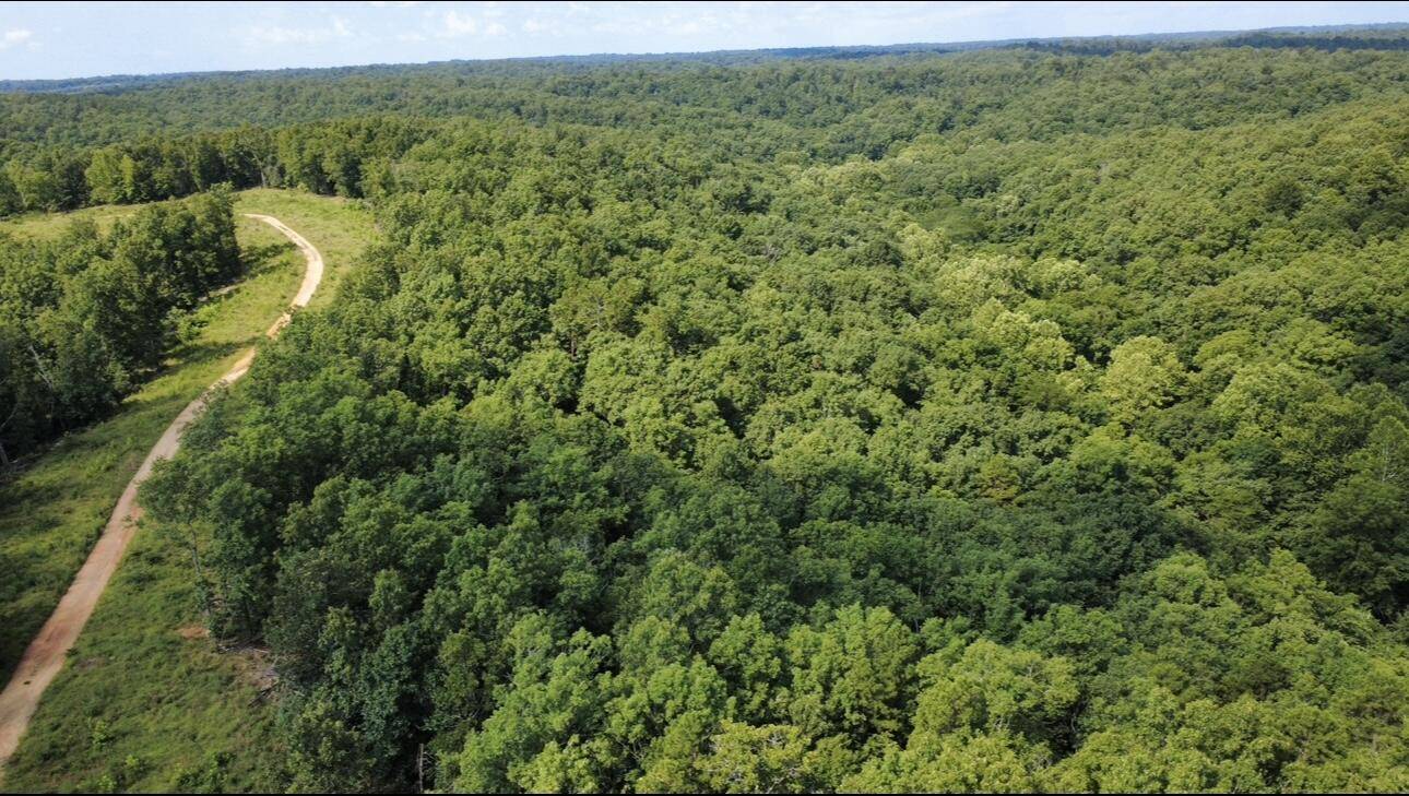632 Private Road 421-35, West Plains, MO 65775