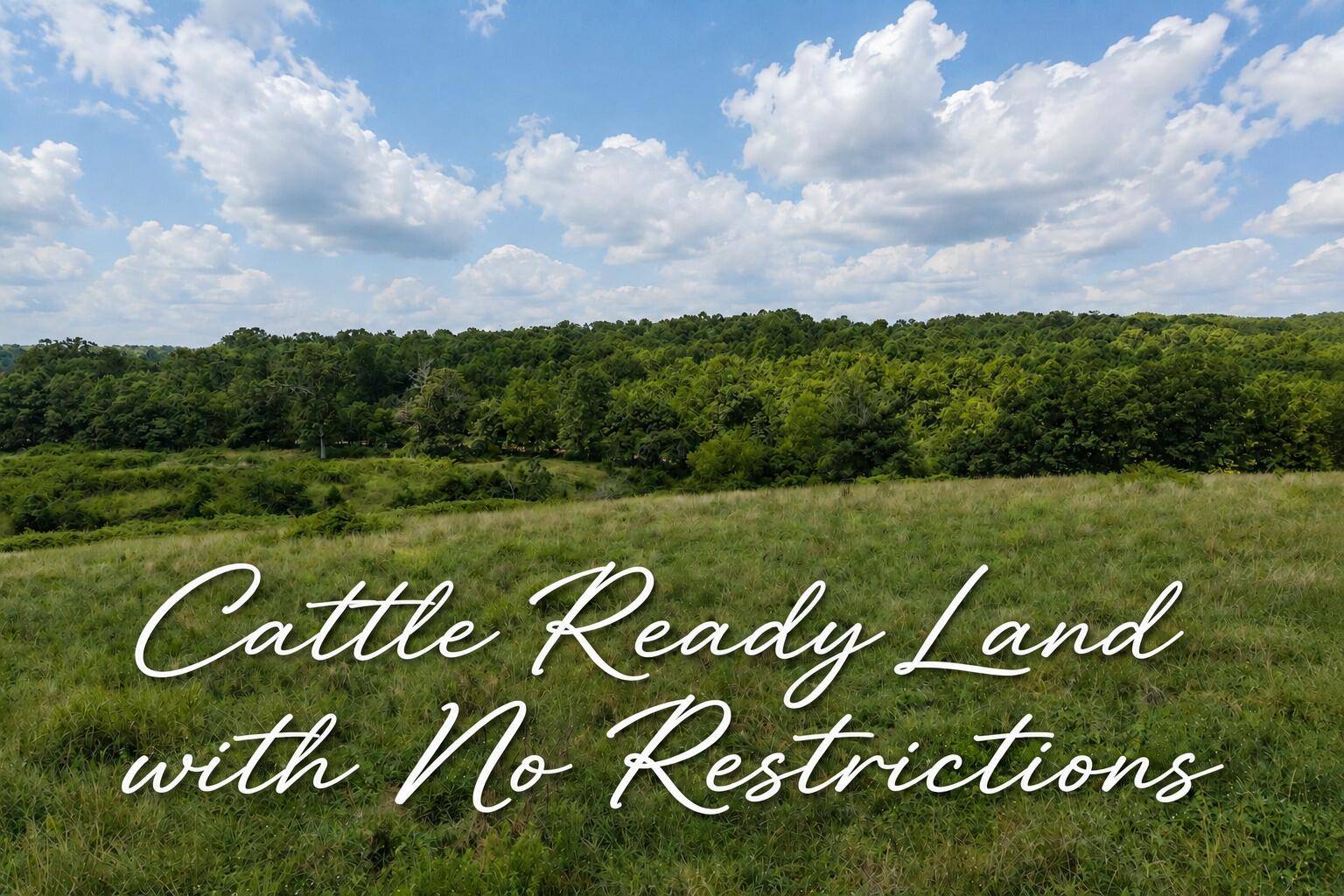 Tbd State Highway E, Hartville, MO 65667