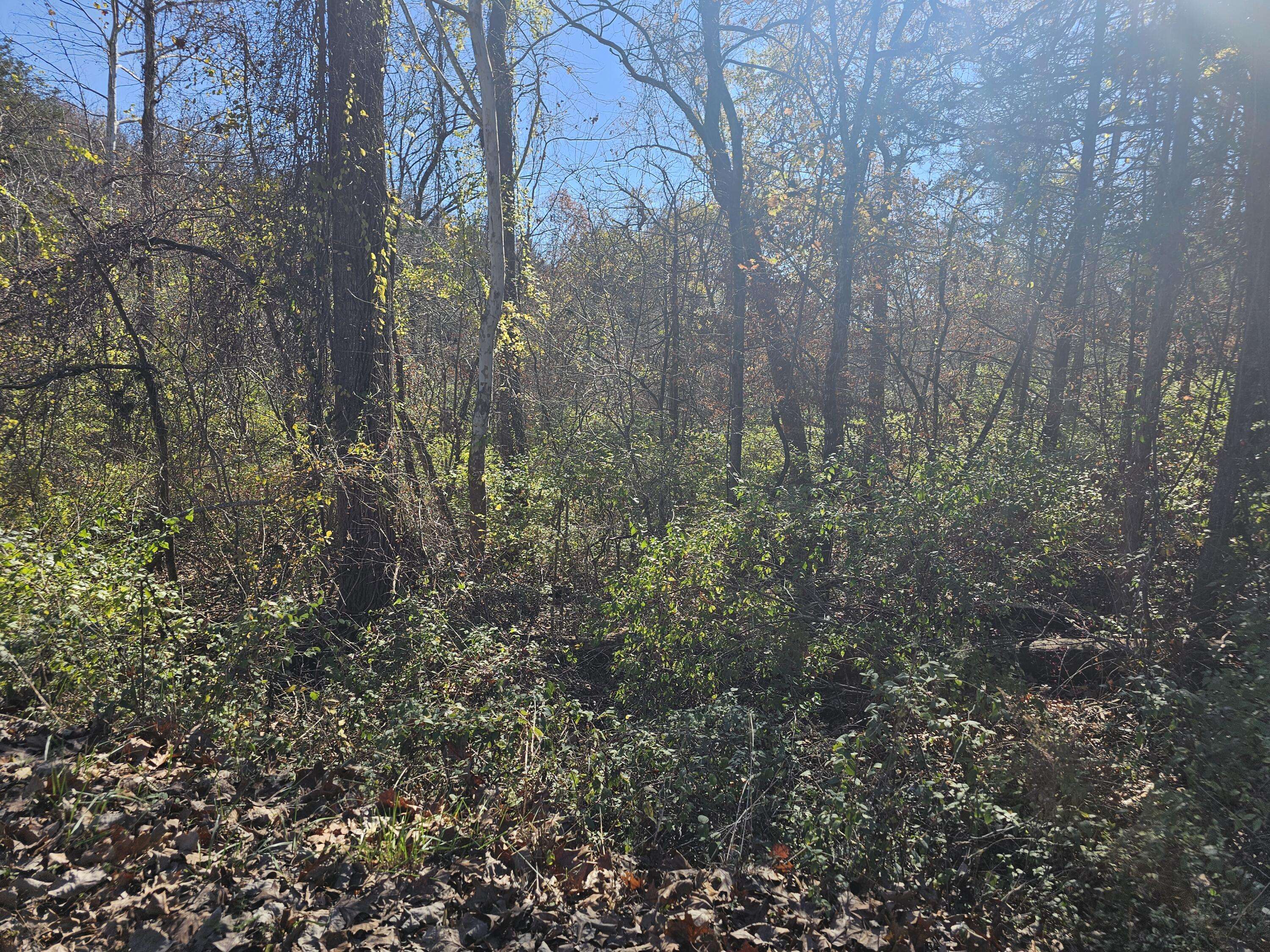 000 Spruce AVE, Merriam Woods, MO 65740