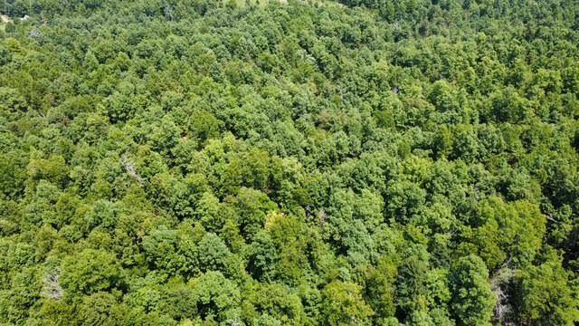 000 County Road 434, Birch Tree, MO 65438