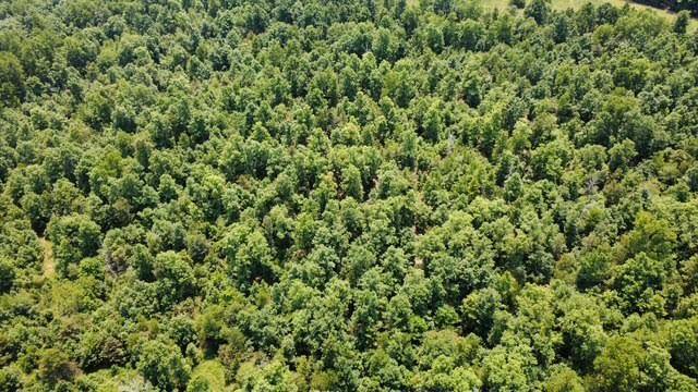 000 County Road 434, Birch Tree, MO 65438