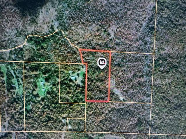 000 County Road 434, Birch Tree, MO 65438