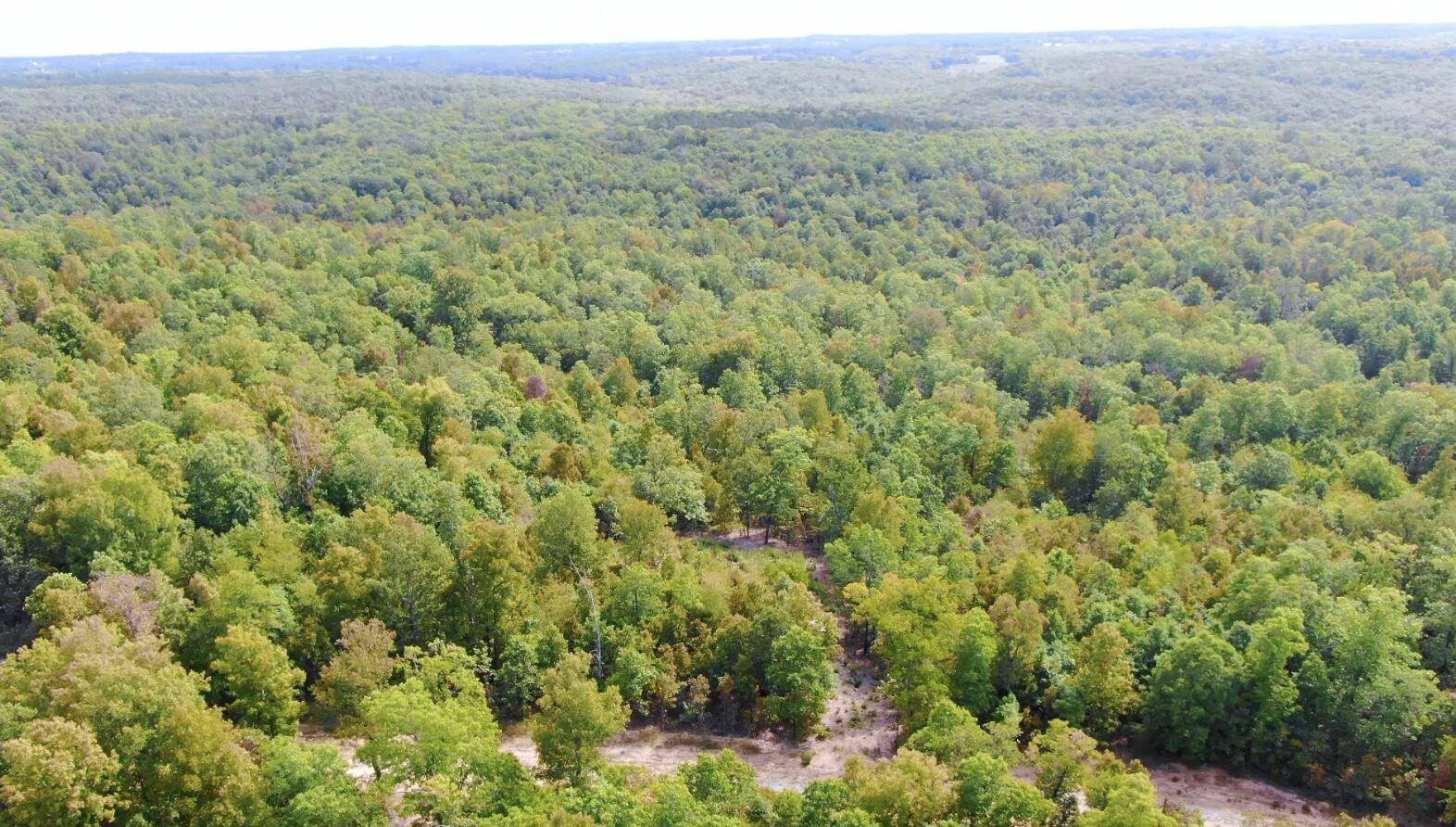 000 Db Tract 23, Pomona, MO 65789