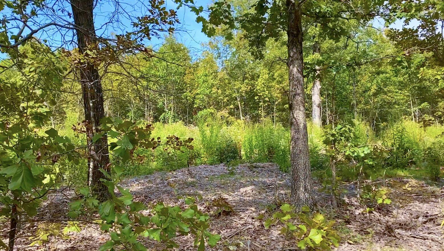 000 Db Tract 23, Pomona, MO 65789