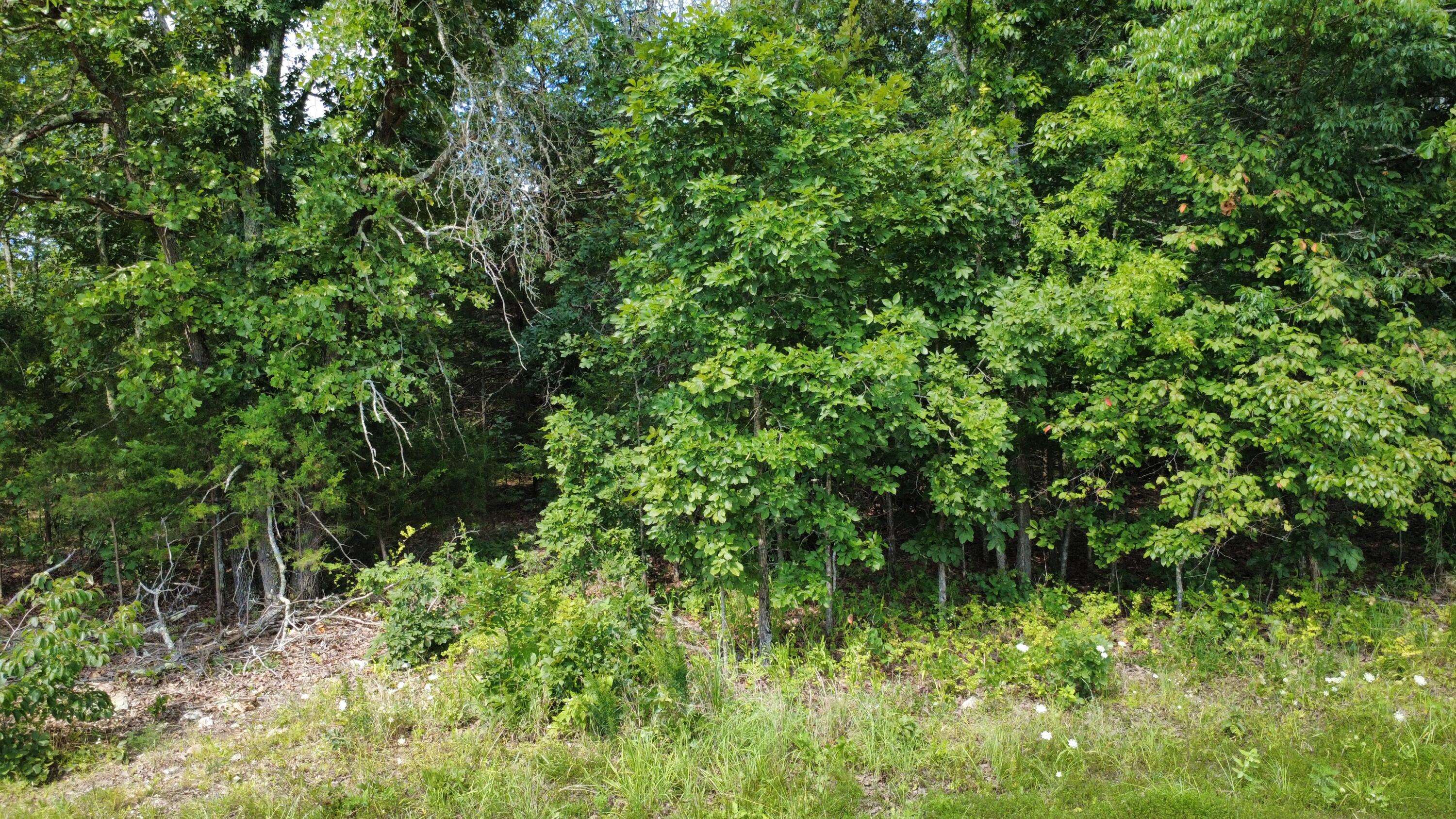 000 Private Road 421-35, West Plains, MO 65775
