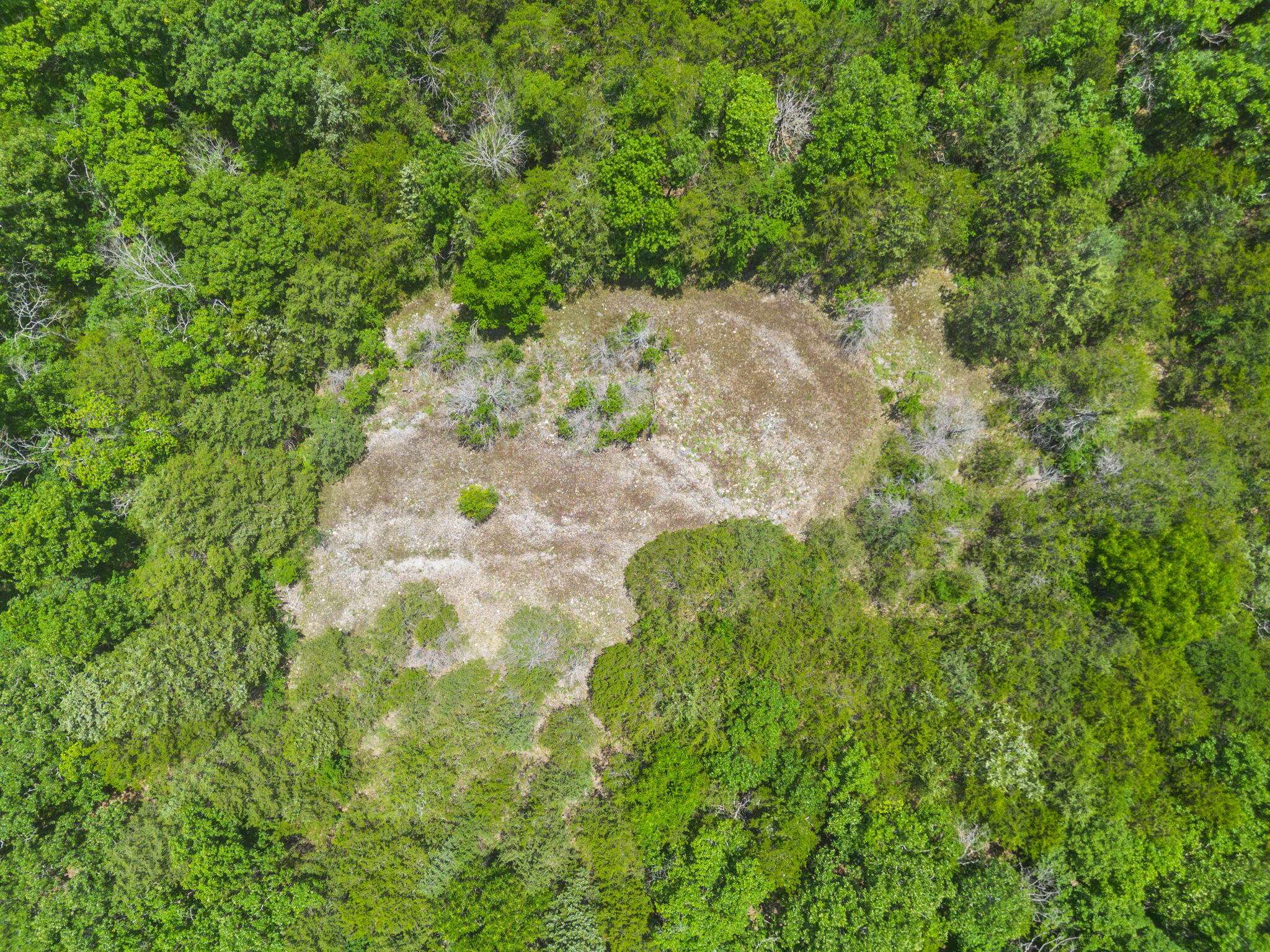 Tbd Hwy 173, Cape Fair, MO 65624