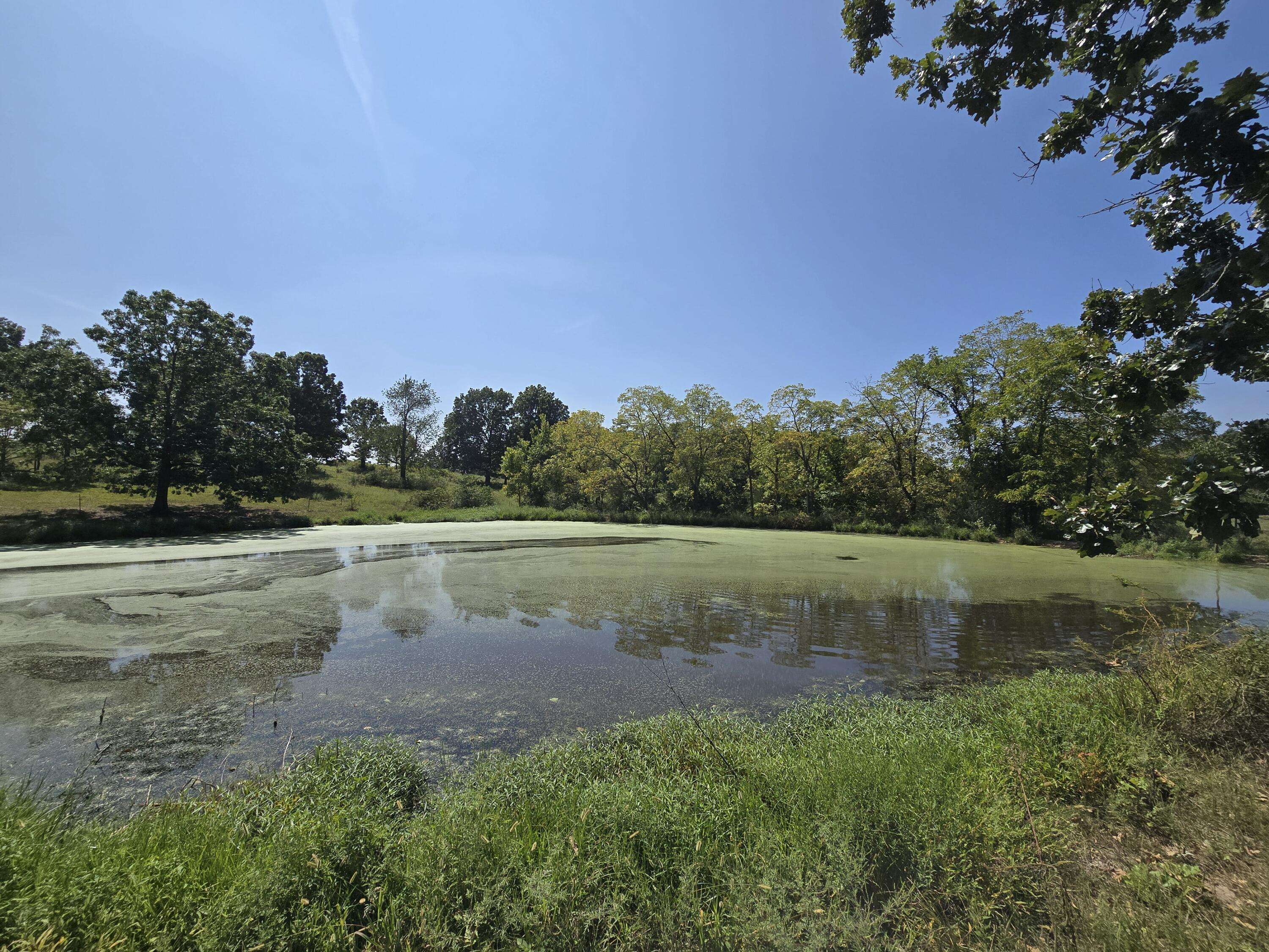 24770 Juniper RD, Lebanon, MO 65536