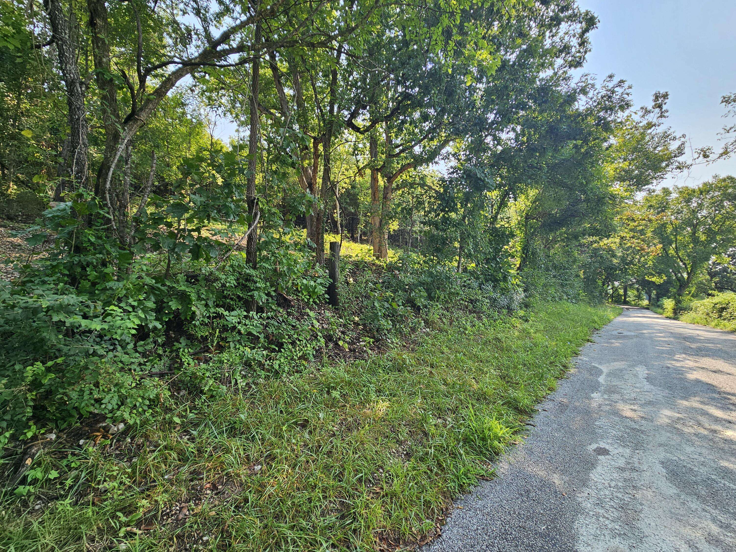 000 Mclean RD, Ozark, MO 65721