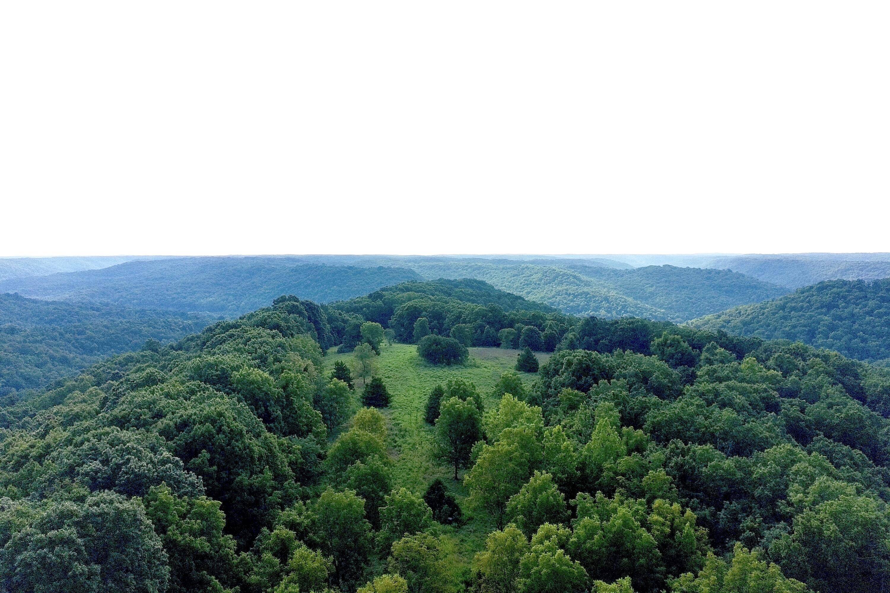 000 Red Bridge Rd, Ozark, MO 65721