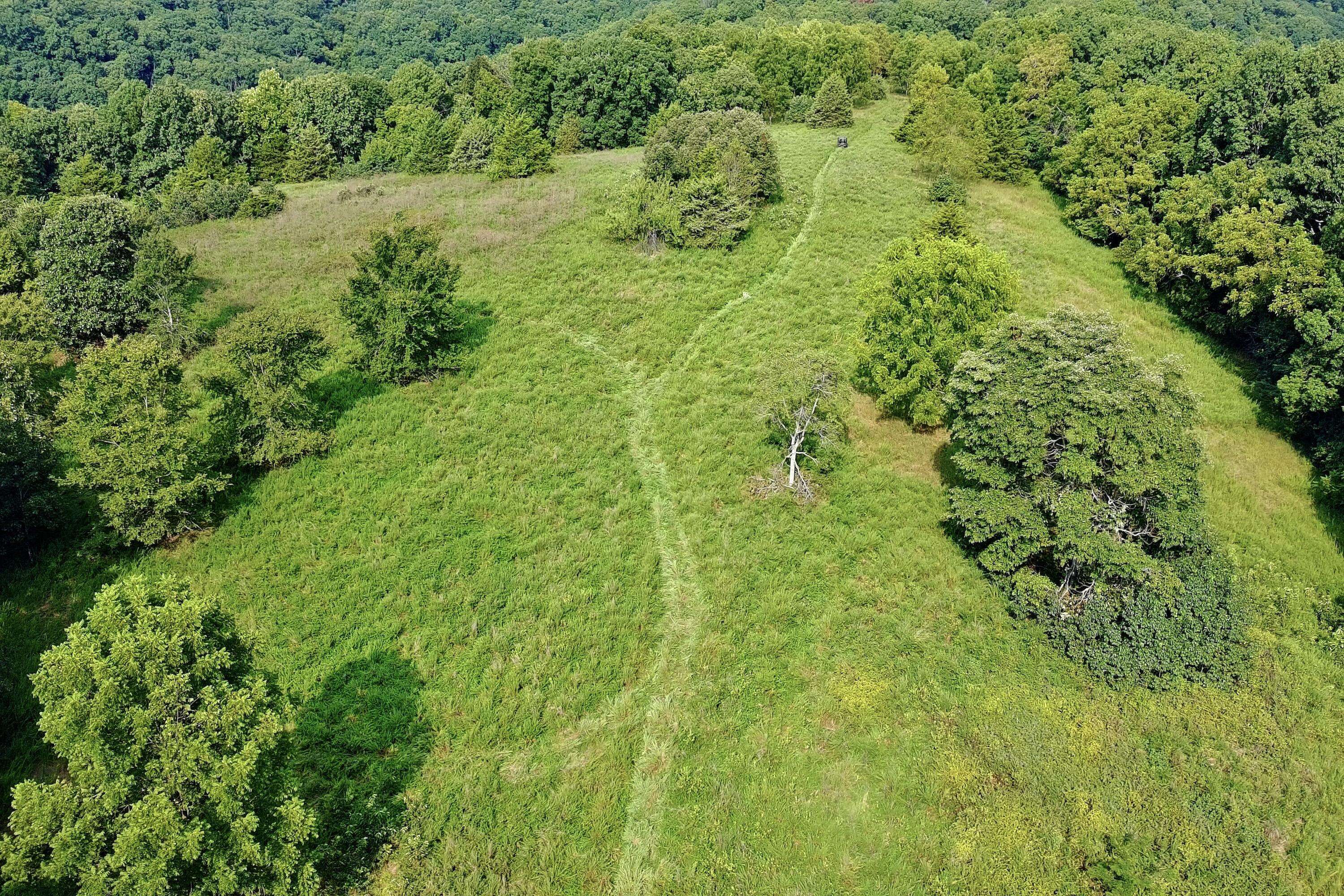 000 Red Bridge Rd, Ozark, MO 65721