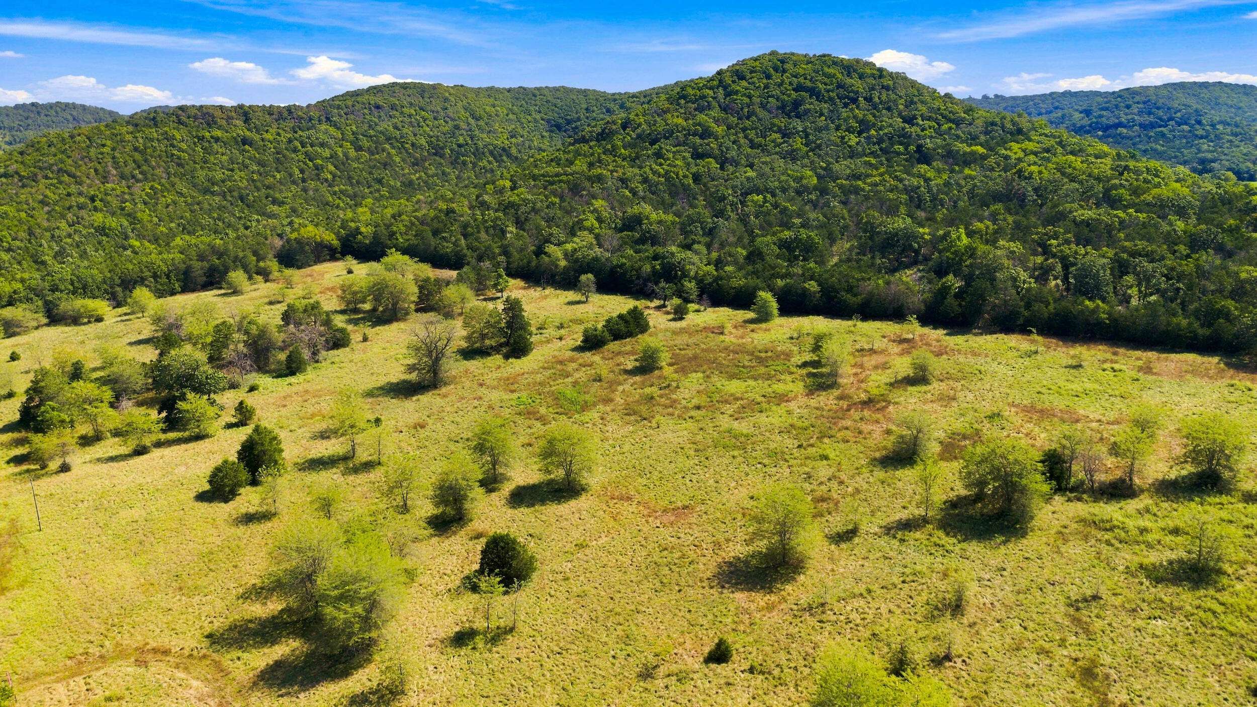 23262 State Highway M, Cassville, MO 65625