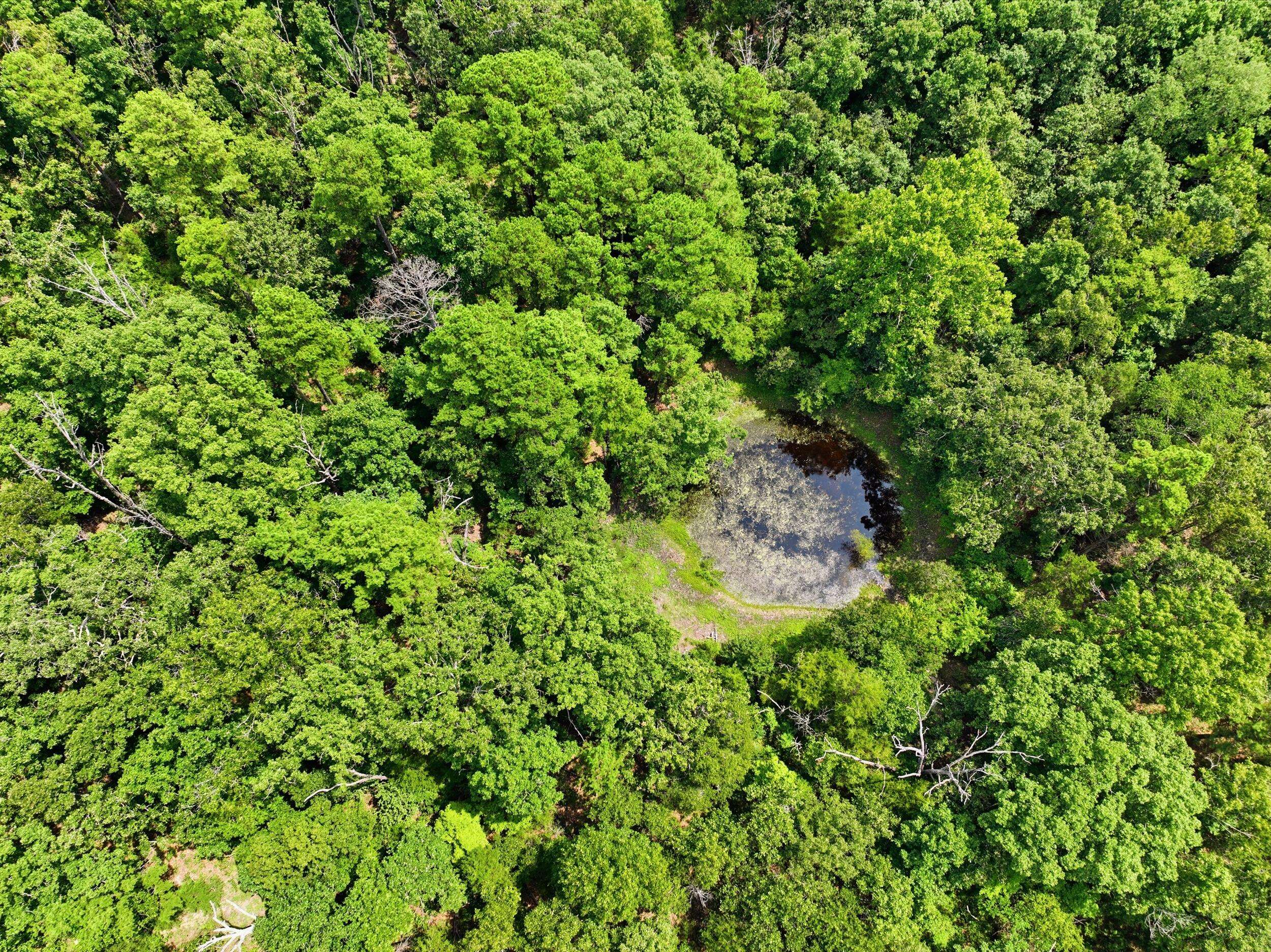 000 State Route 181, Cabool, MO 65689
