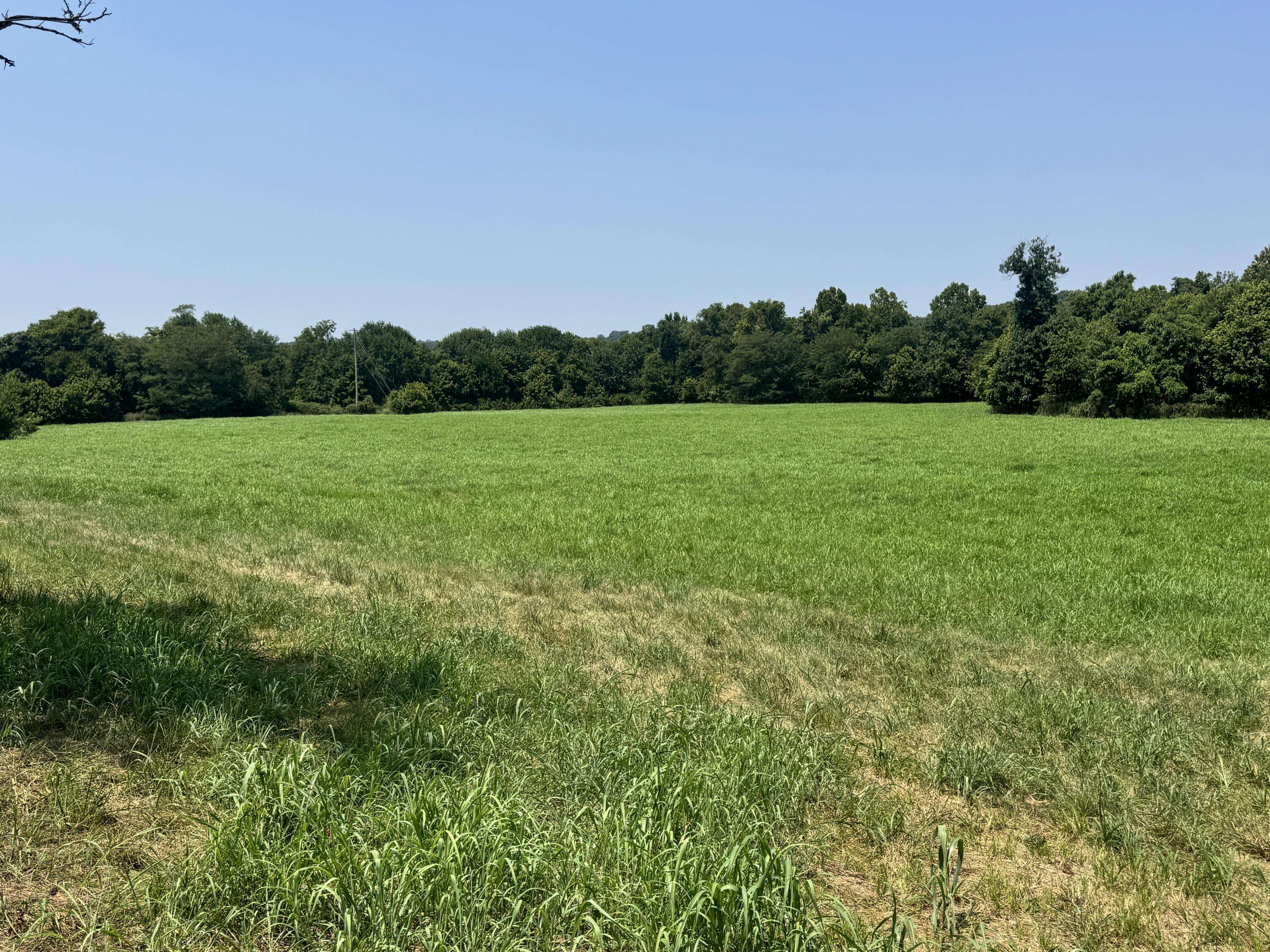000 Gracie LN, Pineville, MO 64856