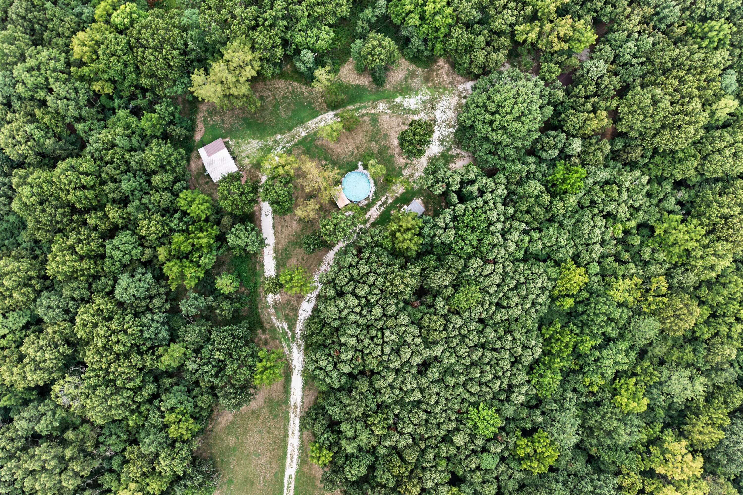 517 County Road 171, Greenfield, MO 65661