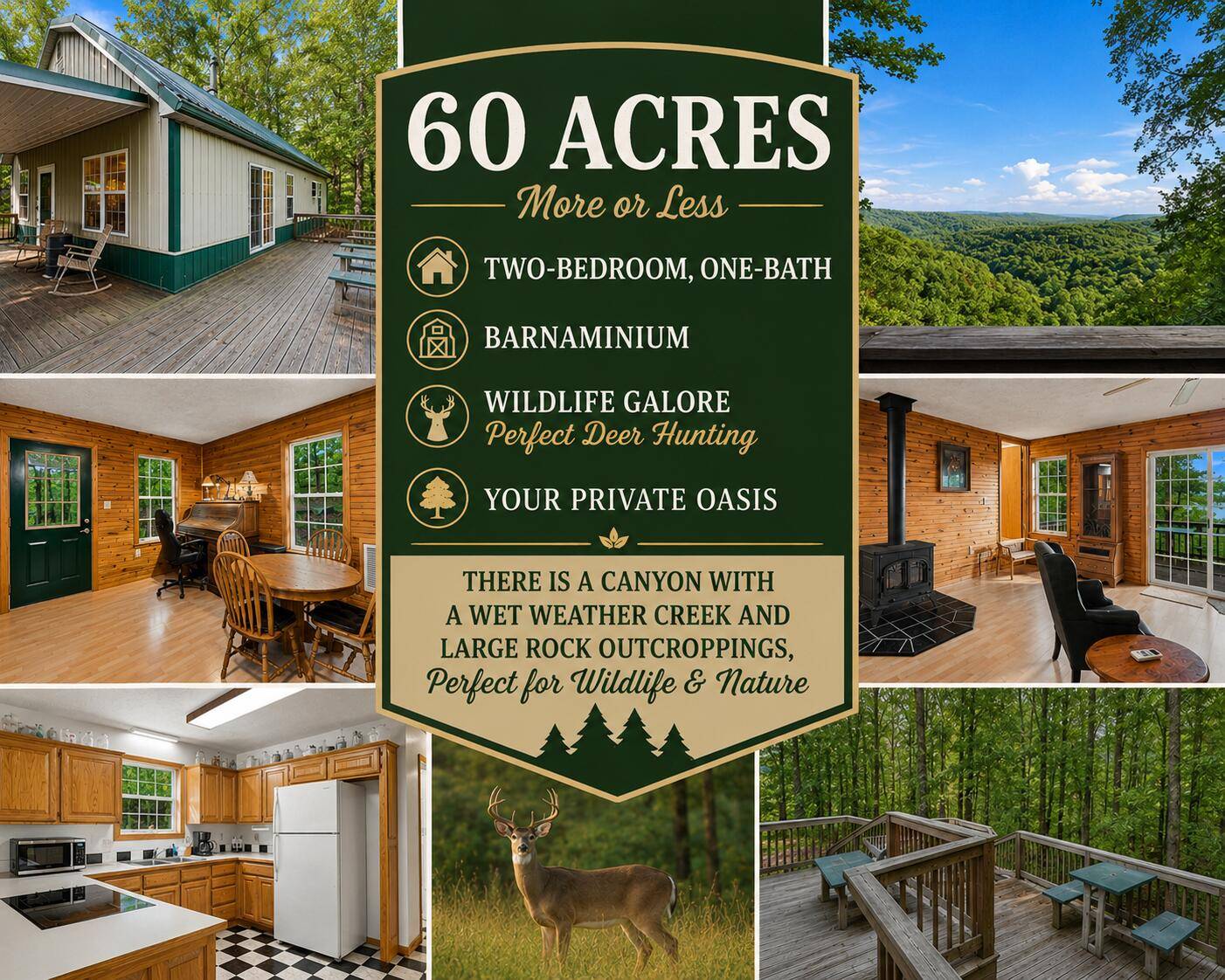 24709 Wolfe RD, Washburn, MO 65772