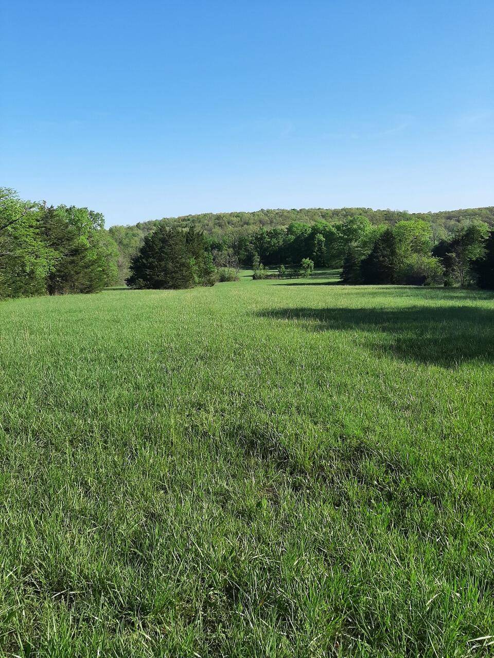 1535 W Elderberry LN, Brighton, MO 65617