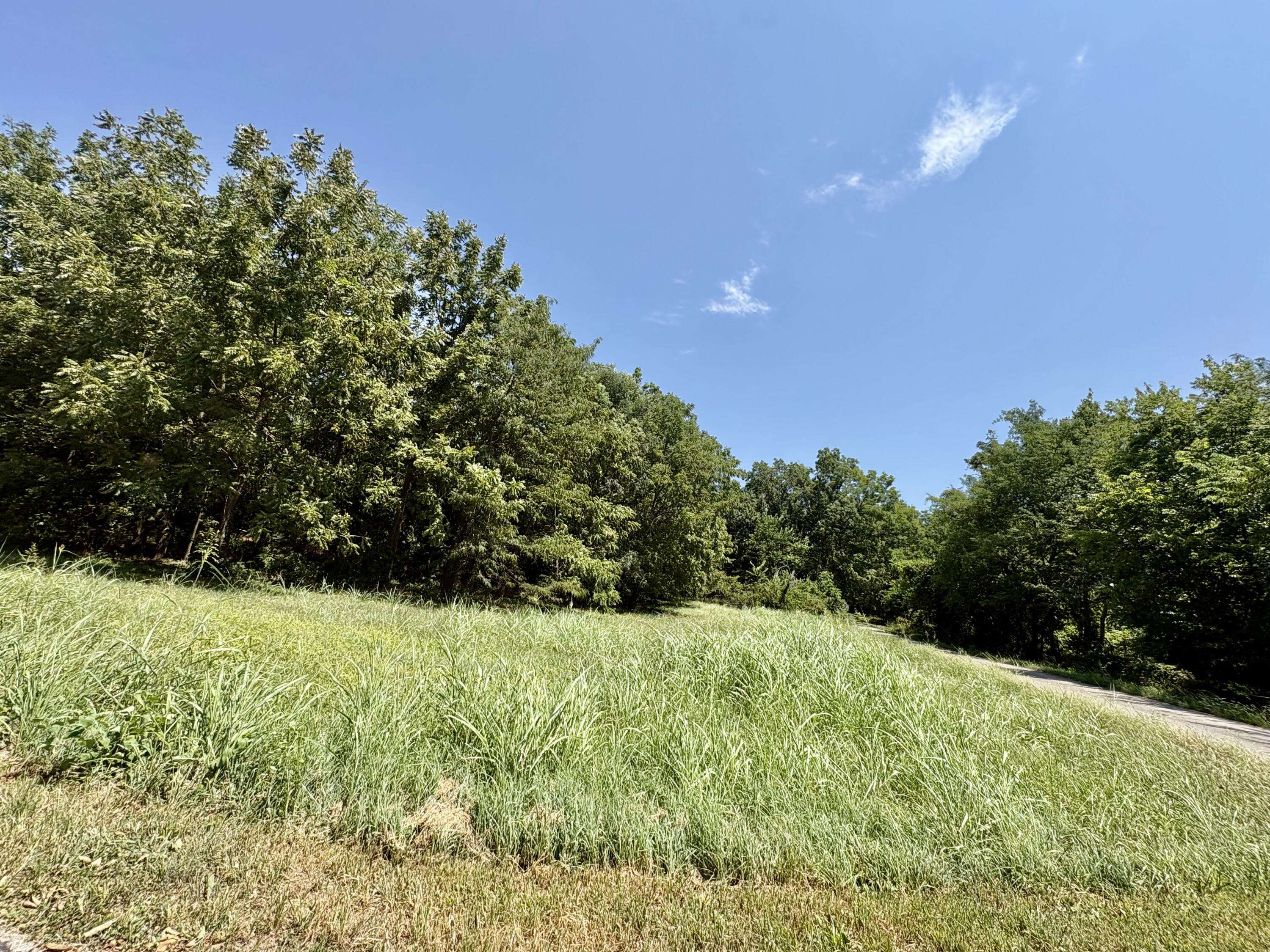 665 Meng ST, Greenfield, MO 65661