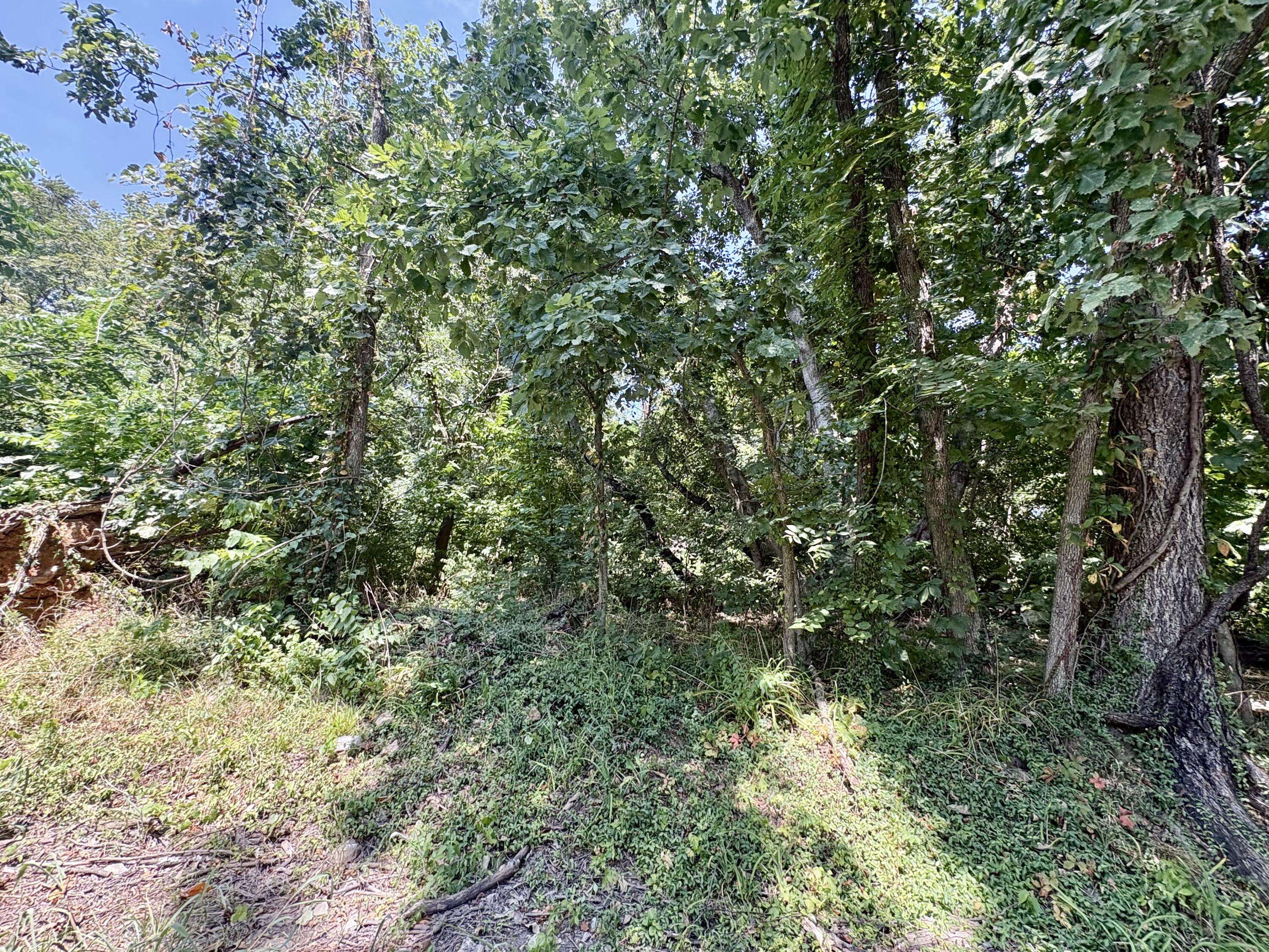 665 Meng ST, Greenfield, MO 65661