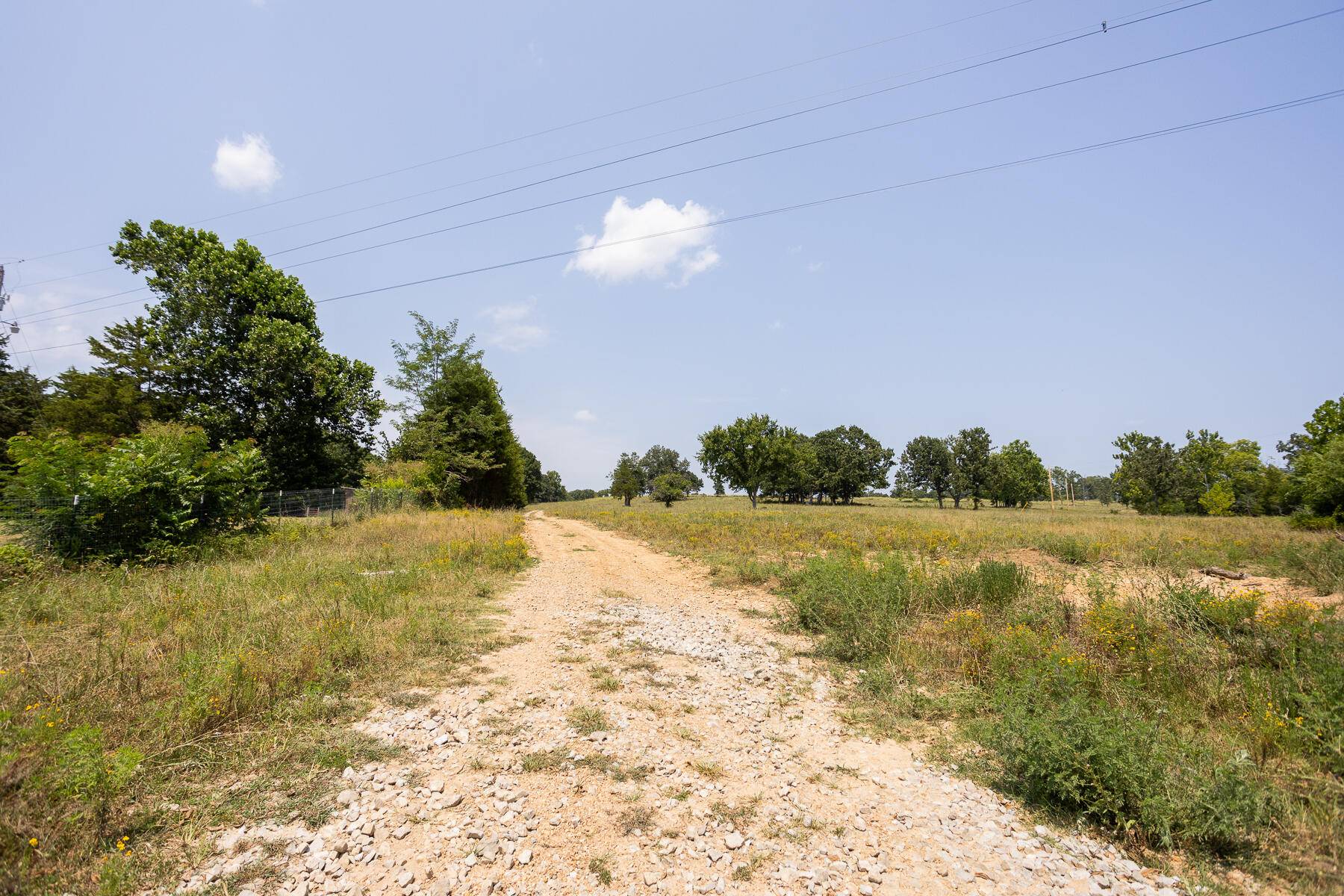 000 County Road 425, Ava, MO 65608