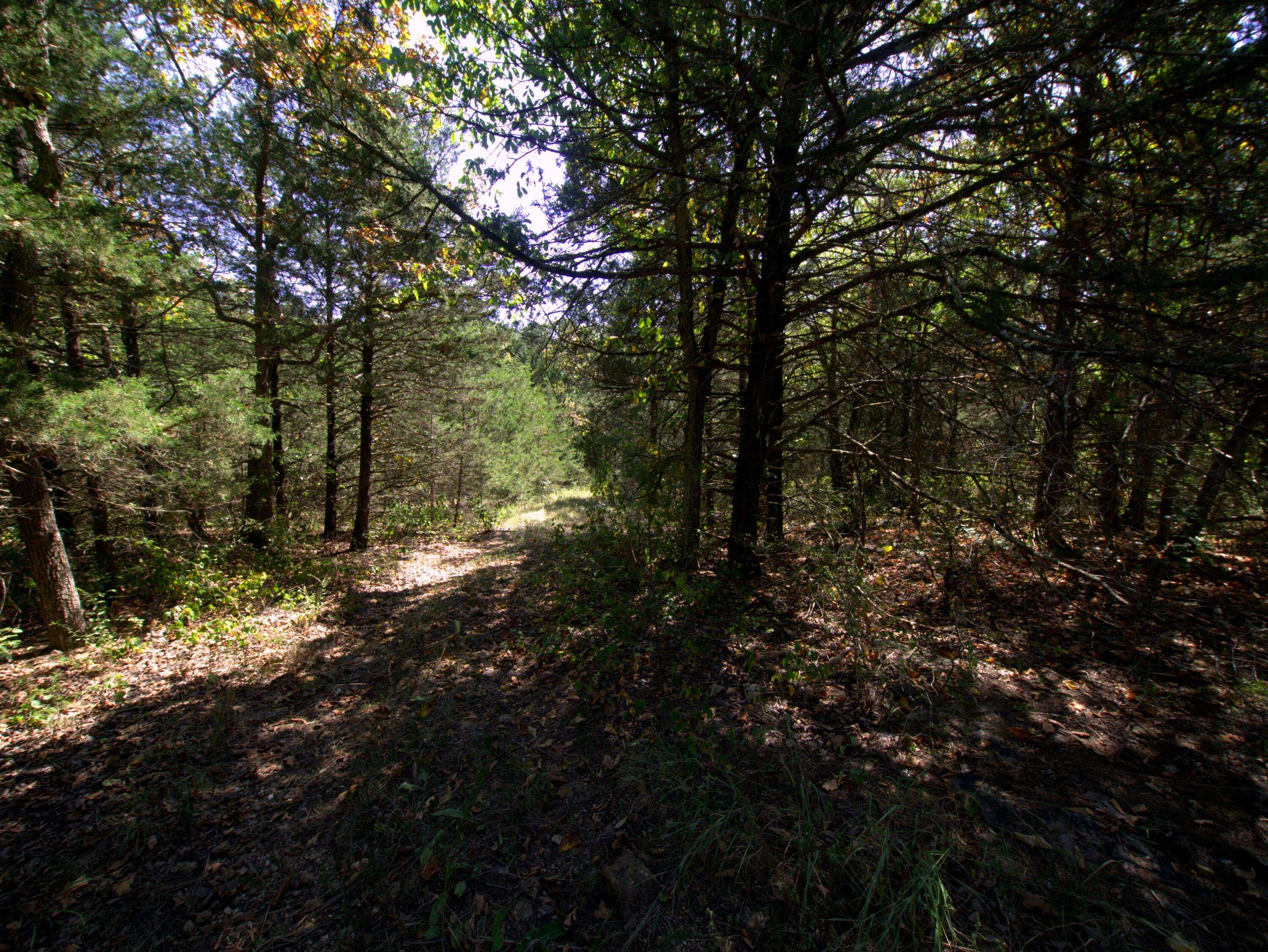 Tract 1 Simpson RD, Urbana, MO 65767